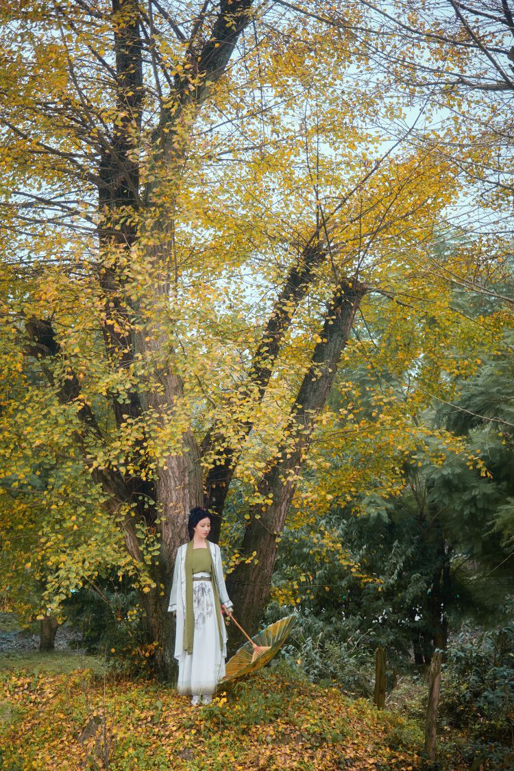 年年---秋兮46P-01-26