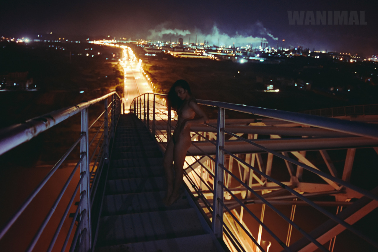 WANIMAL王動系列-Tumblr博客寫真作品-Set27-04-15