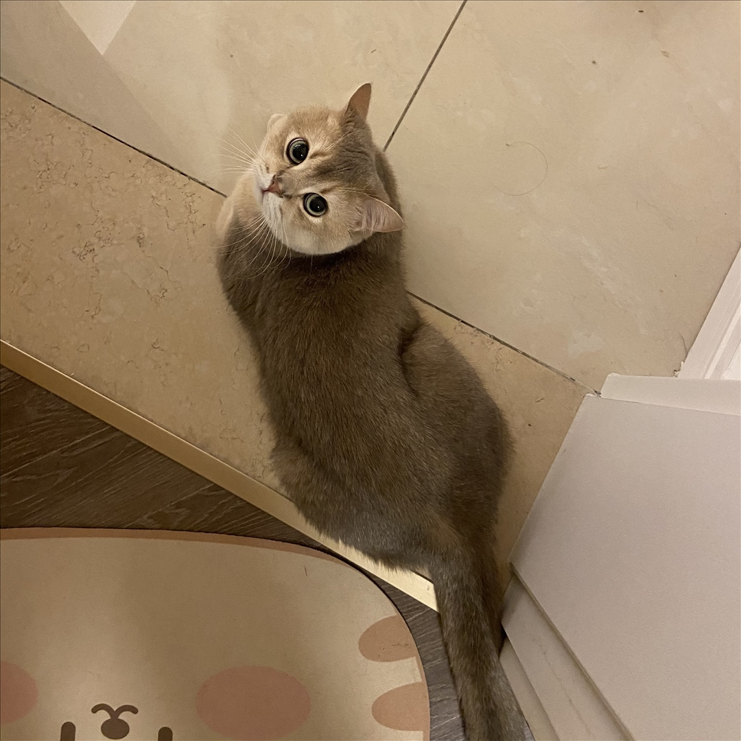 眼酱大魔王w---24年06月Fantia会员订阅-38P6V-8133-MB-20240904k-09-06