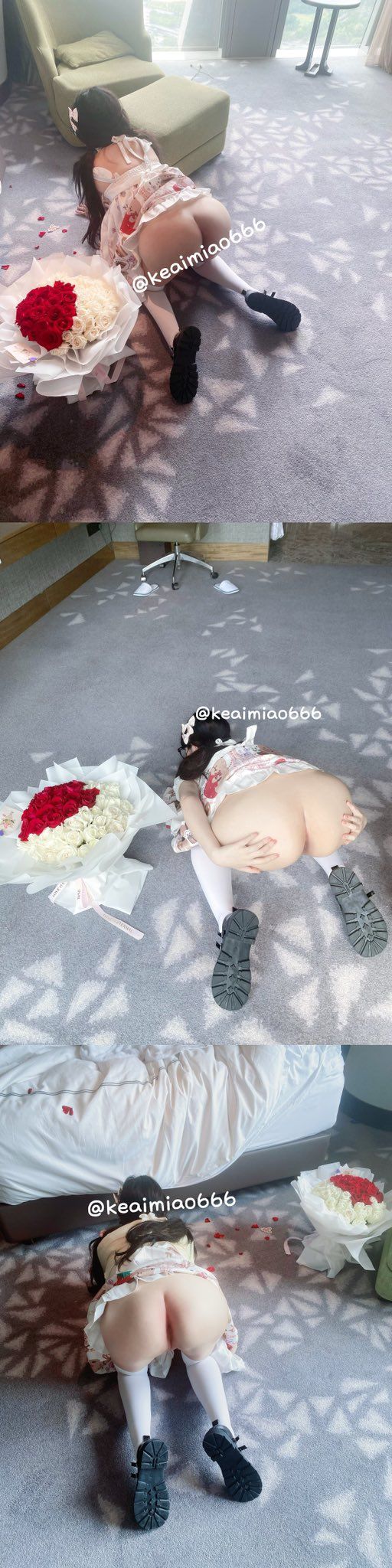 呆呆酱-合集-12-31