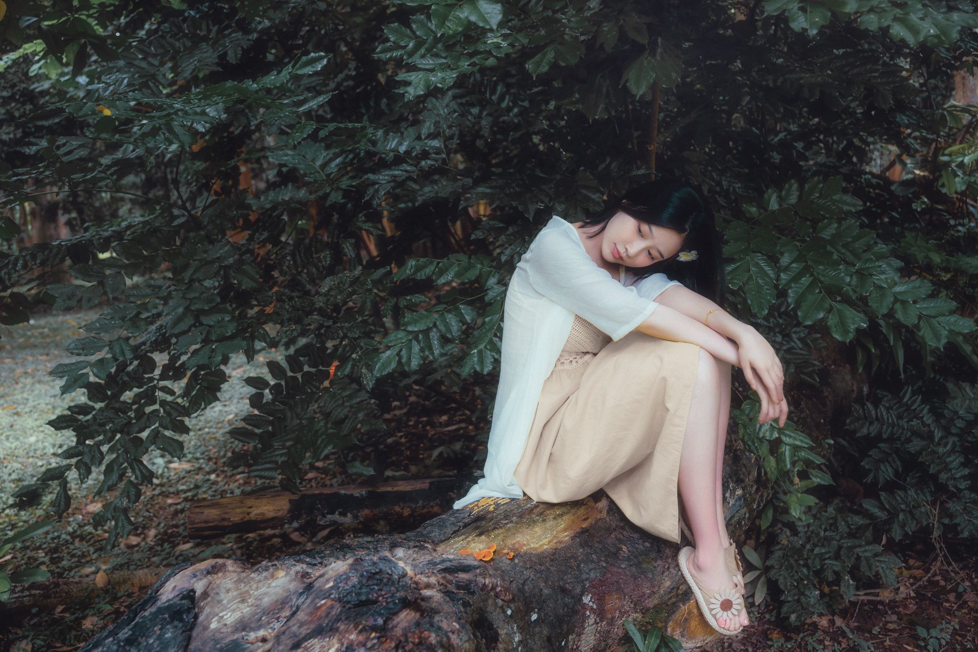 年年---白露43P-253M-01-23