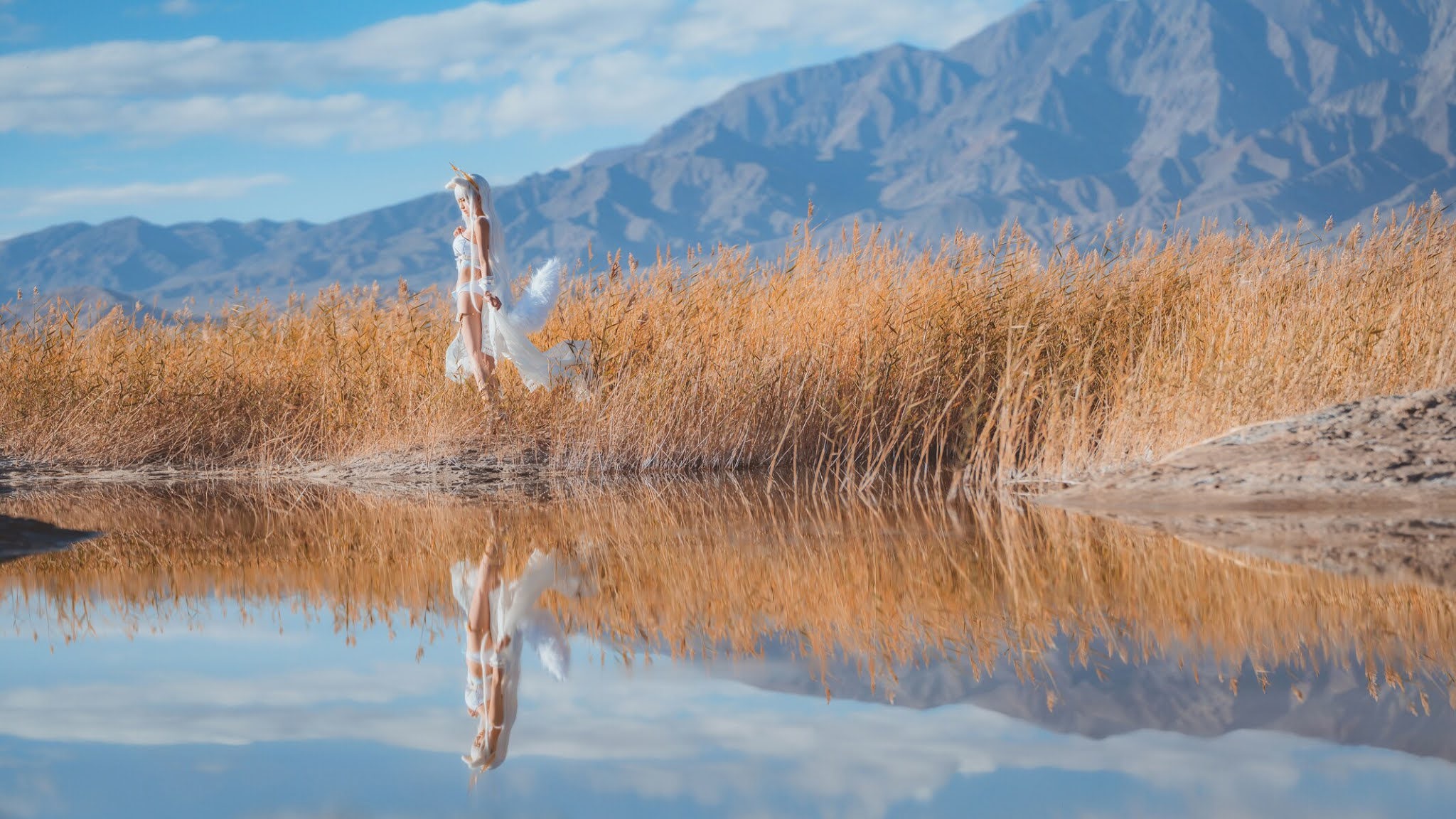 桜桃喵-明日方舟-白金-灿阳朝露-SD05-12-29