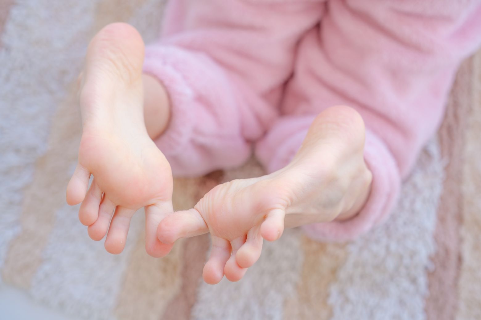 森萝财团-内部-雏菊-08-123P1V-04-23