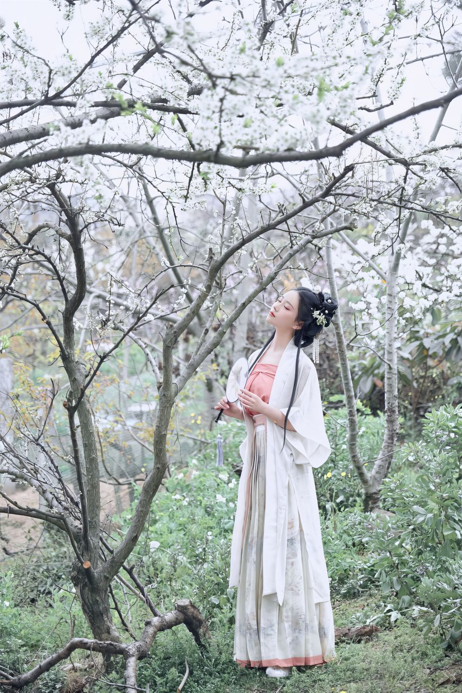 年年-三月榕-03-21