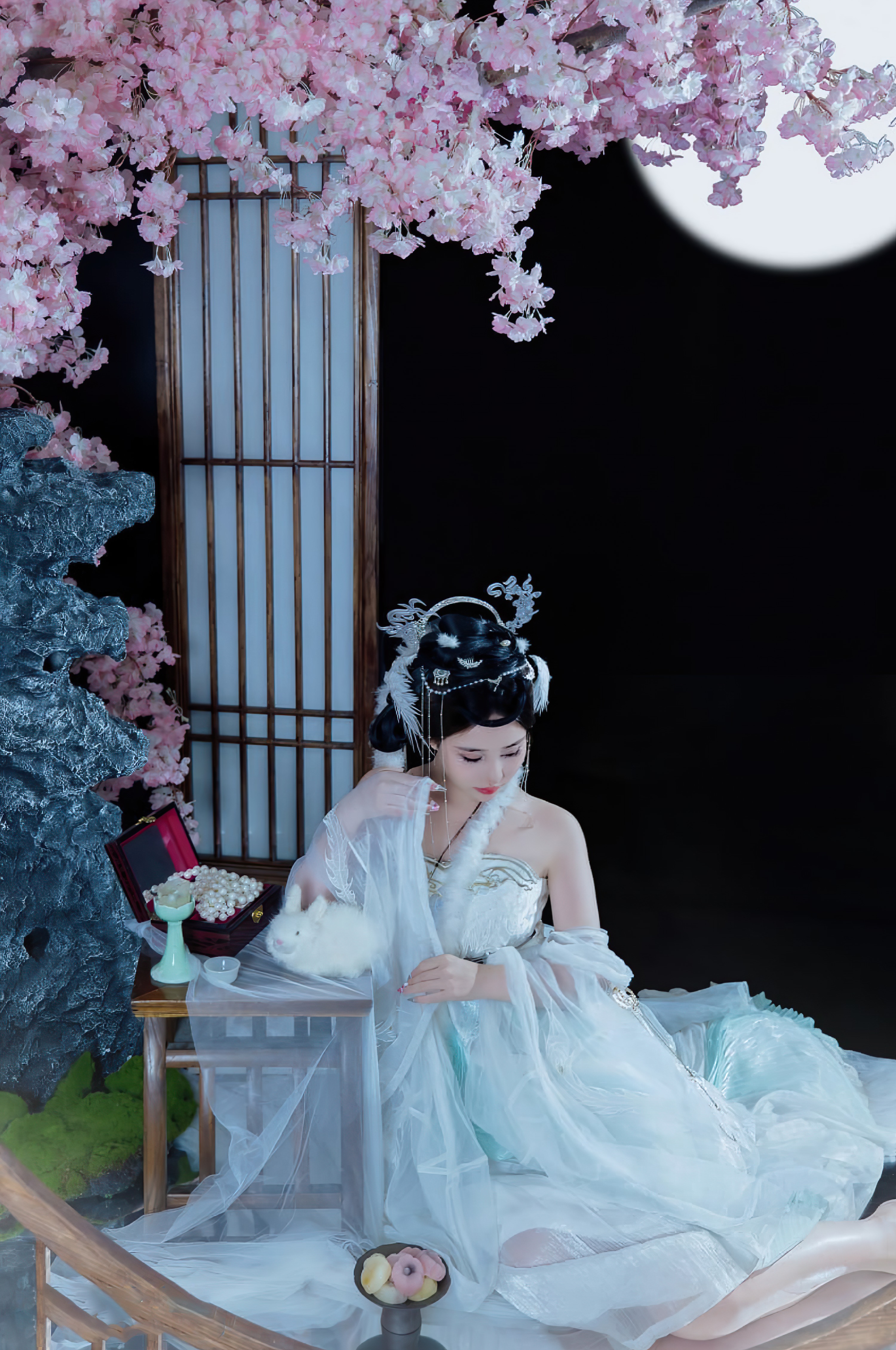 年年-嫦娥仙子-49P-808MB-11-20