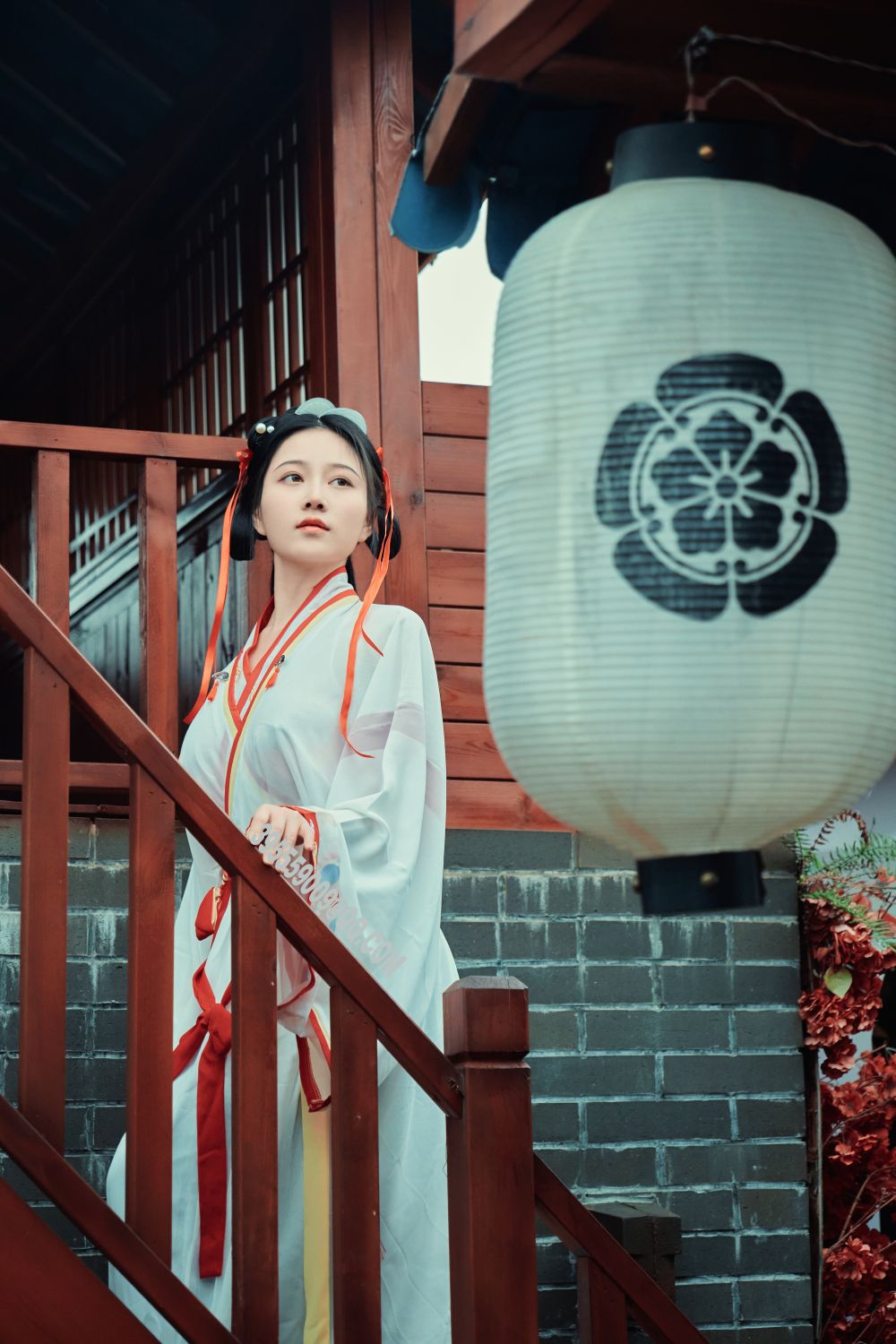 年年---如梦令40P-7333M-01-25