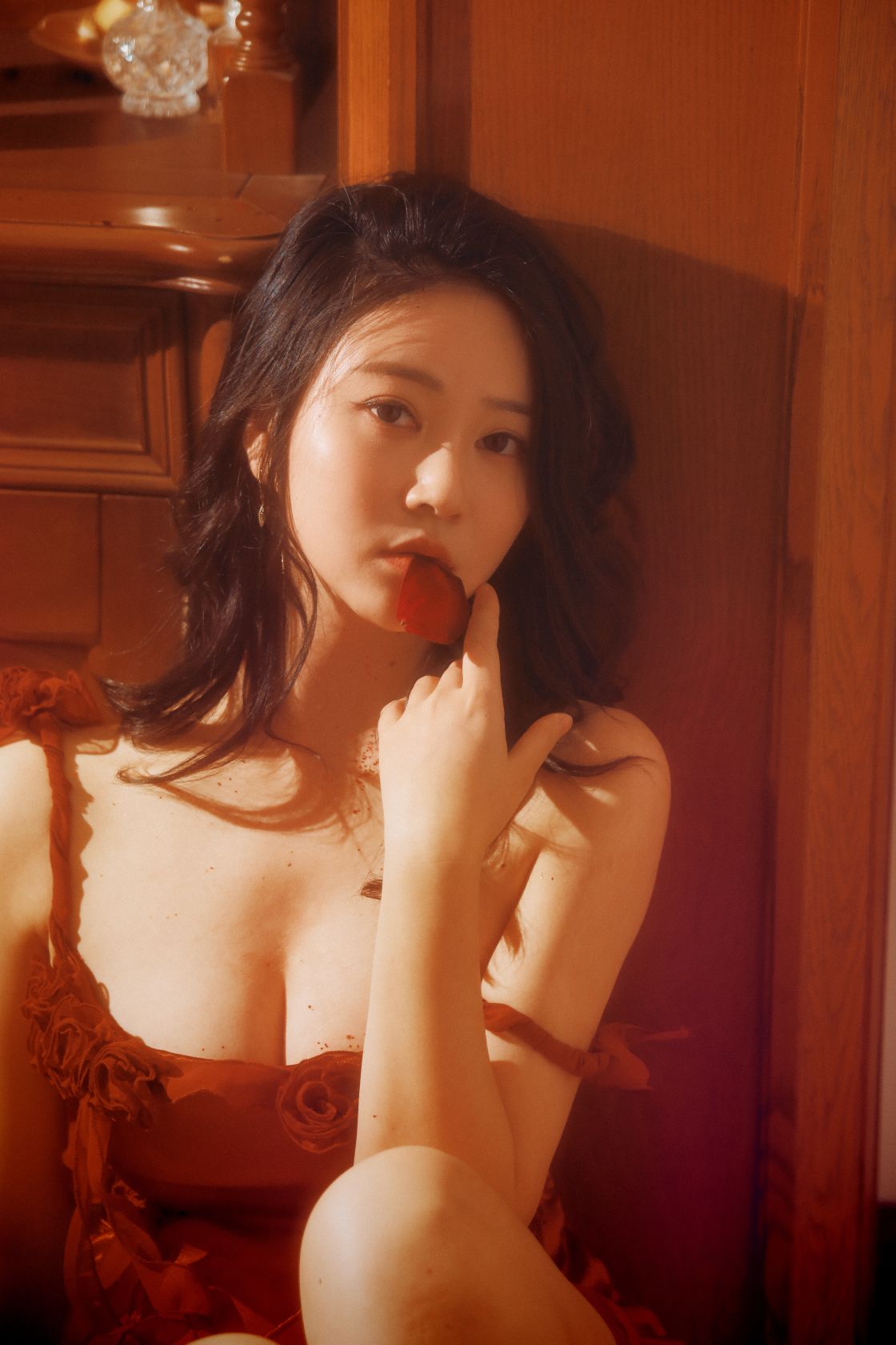 年年---落日蔷薇30P-4124M-01-24