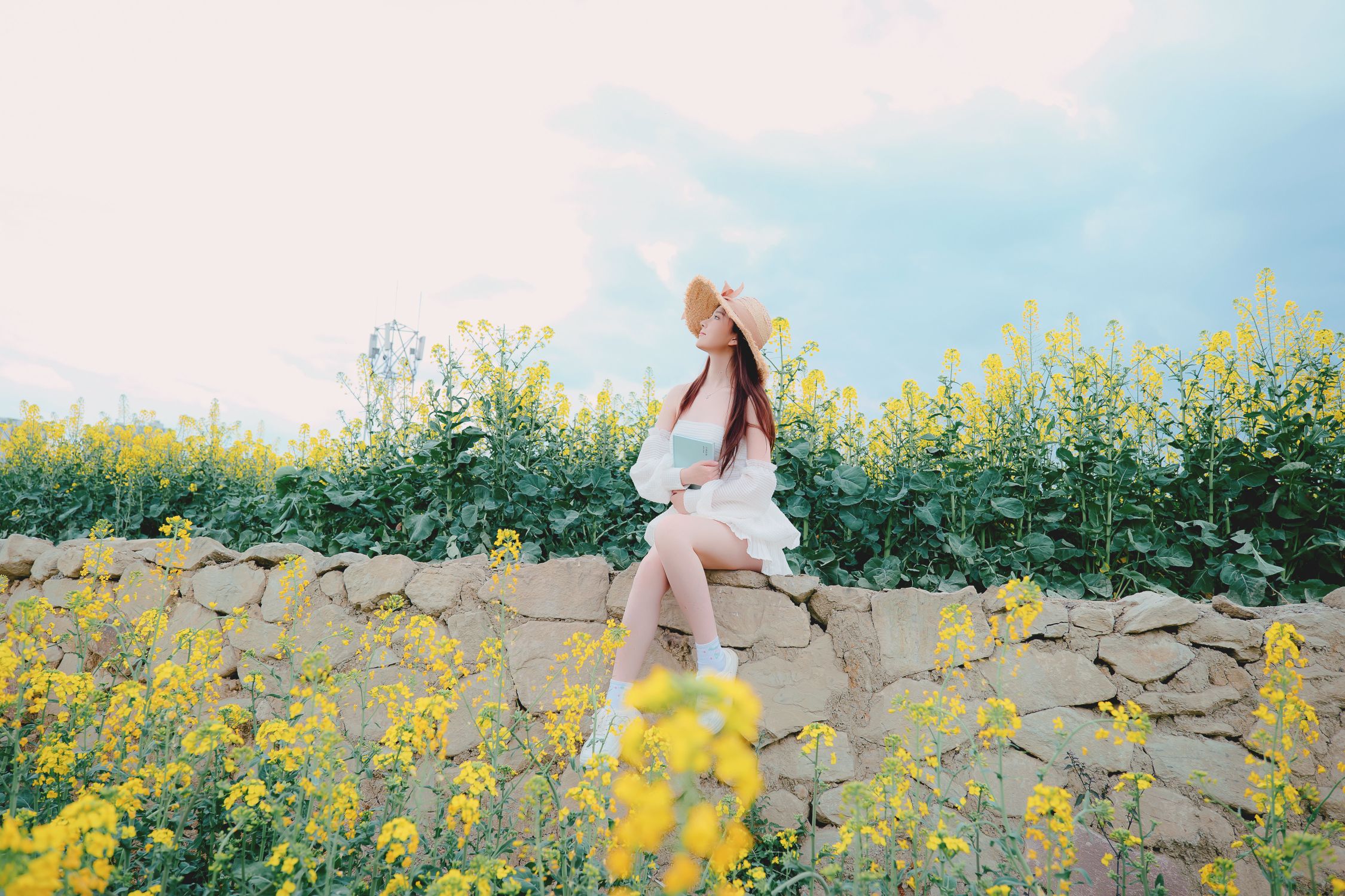 年年---花野-53P-147MB-08-29