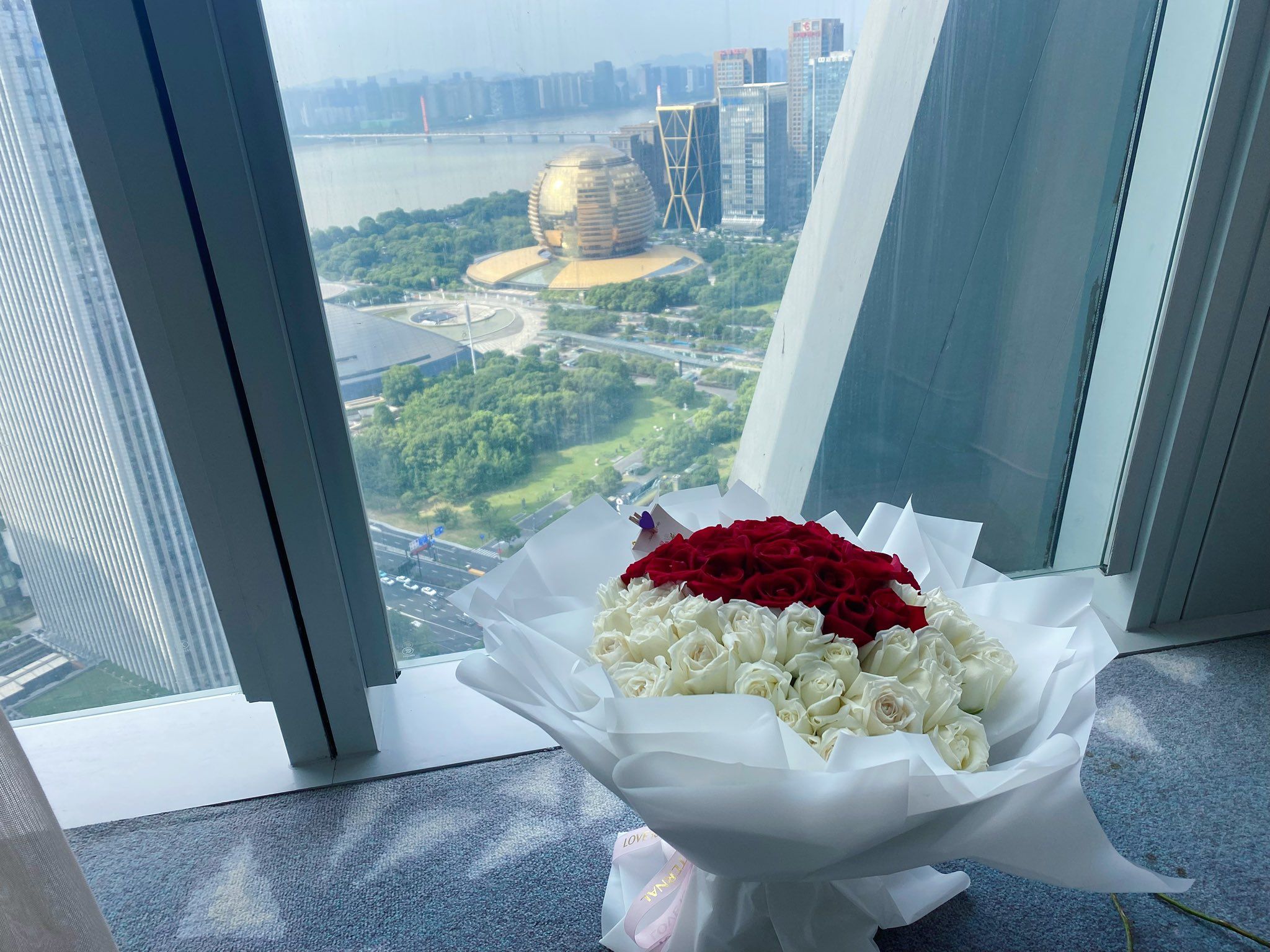 呆呆酱-合集-12-31