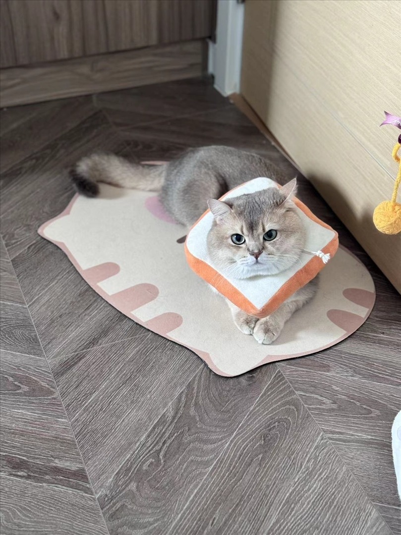 眼酱大魔王w---24年07月Fantia会员订阅-41P4V-9111-MB-20240901ad-09-03