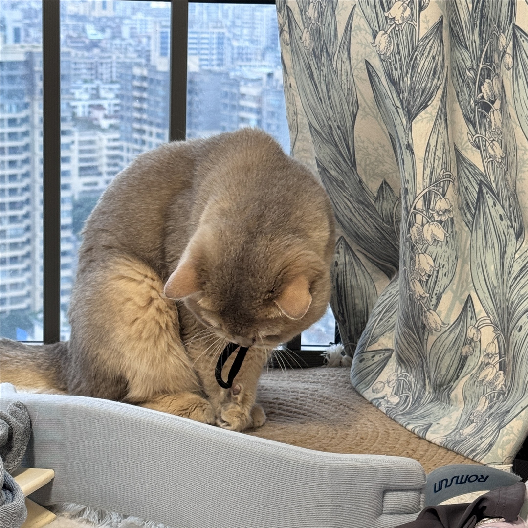 眼酱大魔王w---24年06月Fantia会员订阅-38P6V-8133-MB-20240904k-09-06