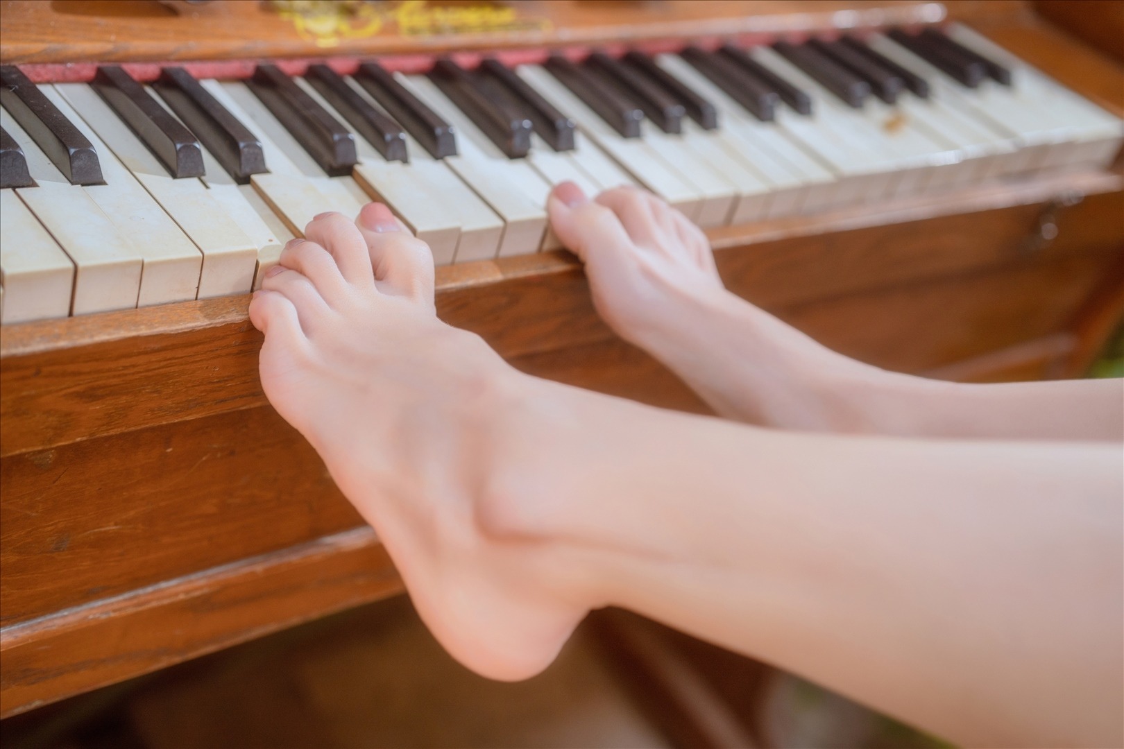 桃良阿宅---小院-55P-55P-23997-MB-20240815h-08-17