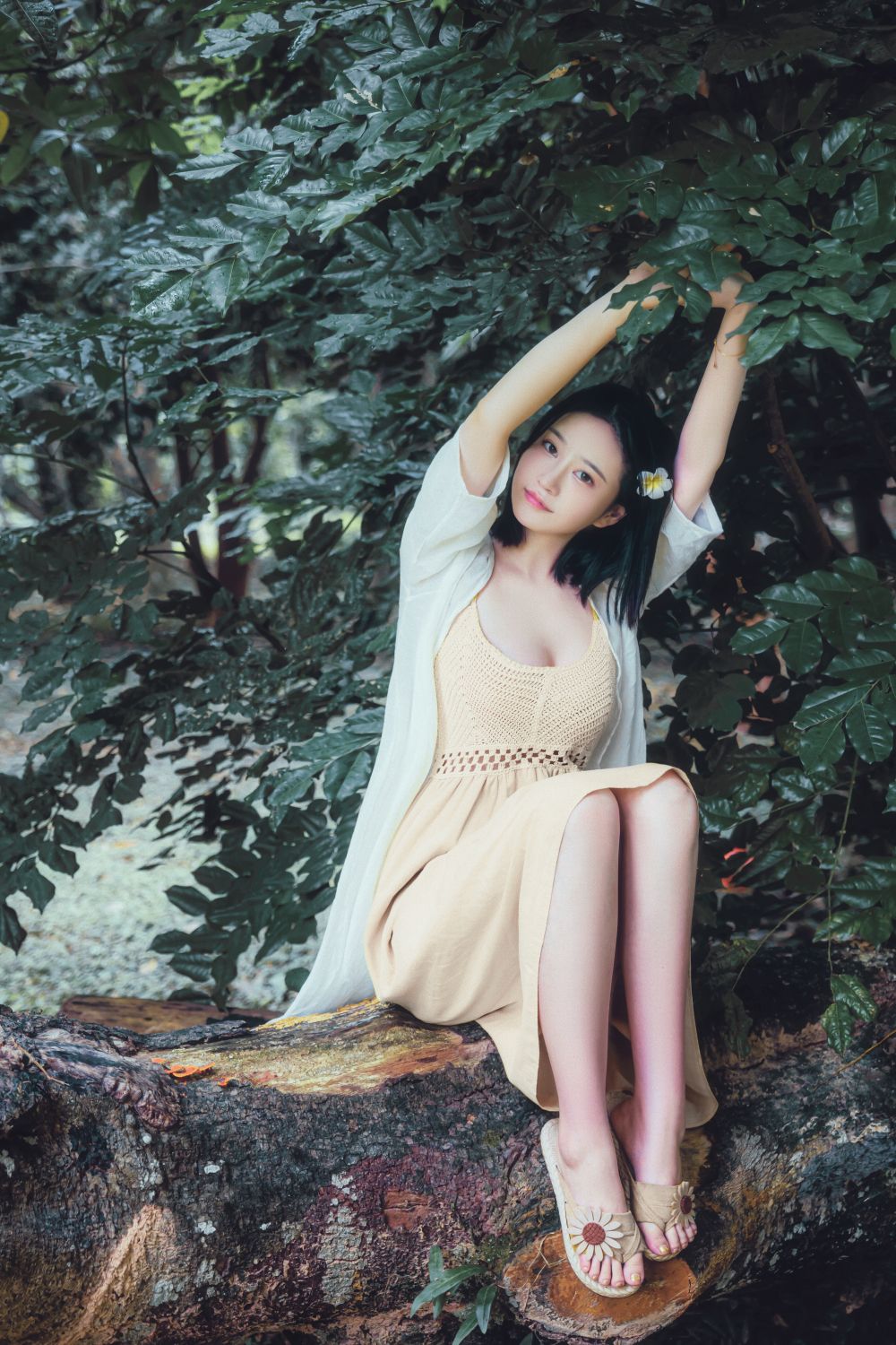 年年---白露43P-253M-01-23