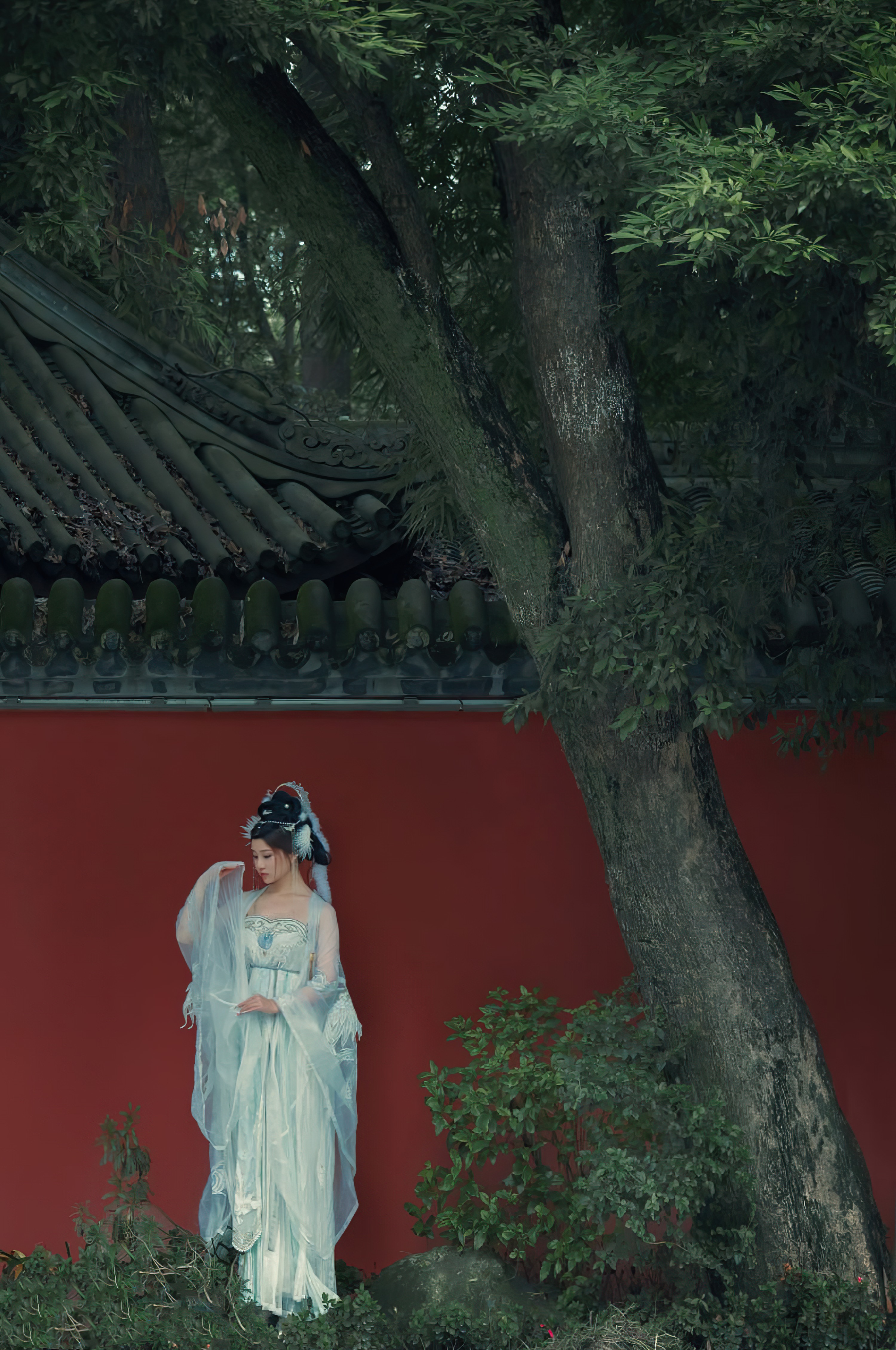 年年-嫦娥仙子-49P-808MB-11-20