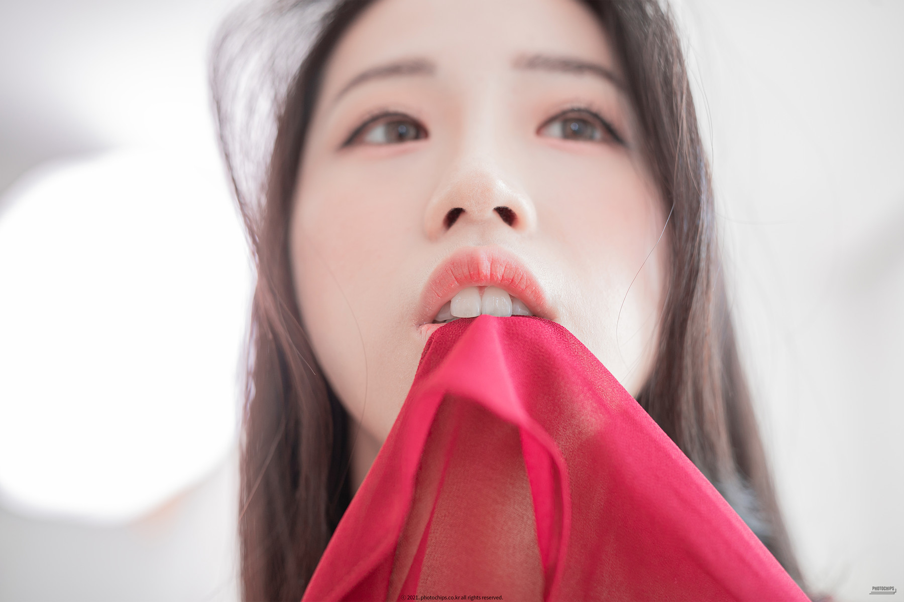 Dami-퀸다미-PhotoChips-포토칩스는-Vol76-12-24