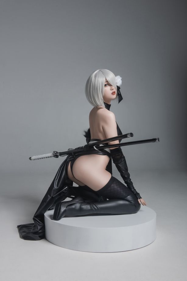 瓦斯塔亚小龙虾---2号B型-忍者-42P-693M-04-19