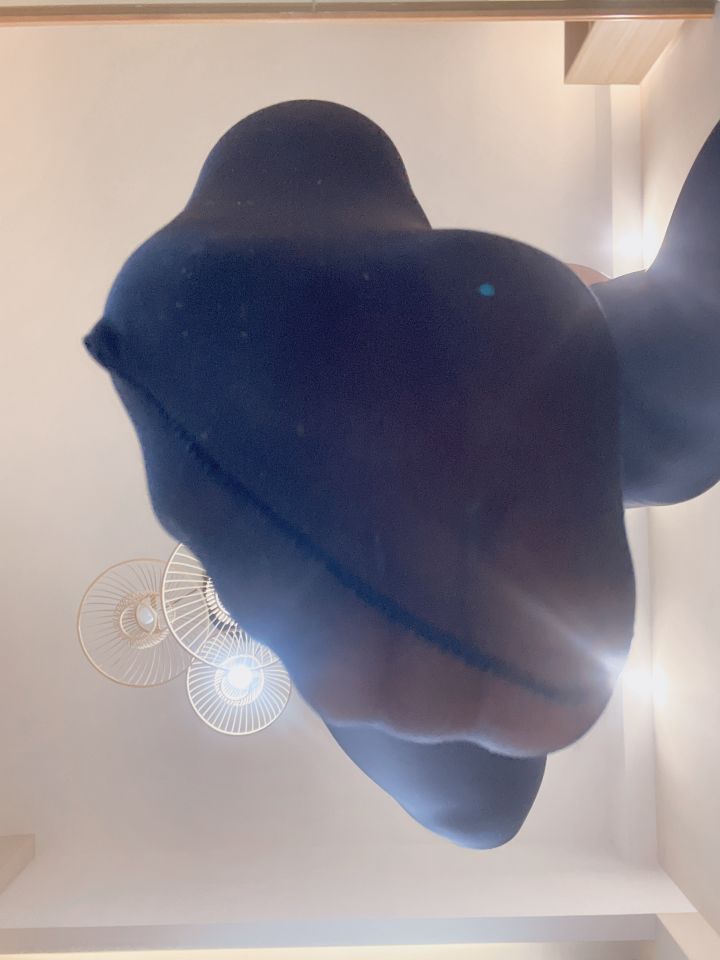 money冷冷-吊带高叉83p-04-14