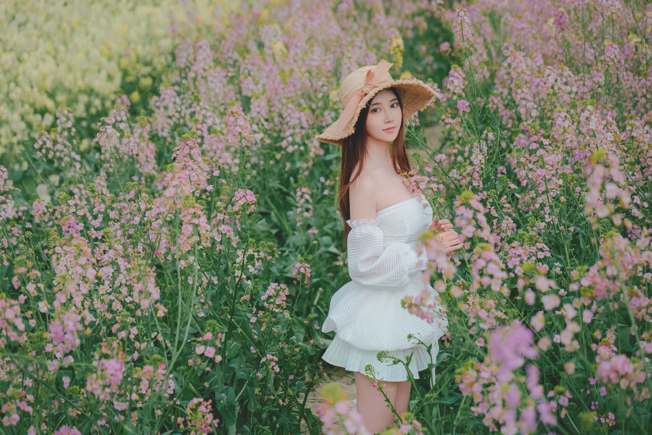 年年---花野-53P-147MB-08-29