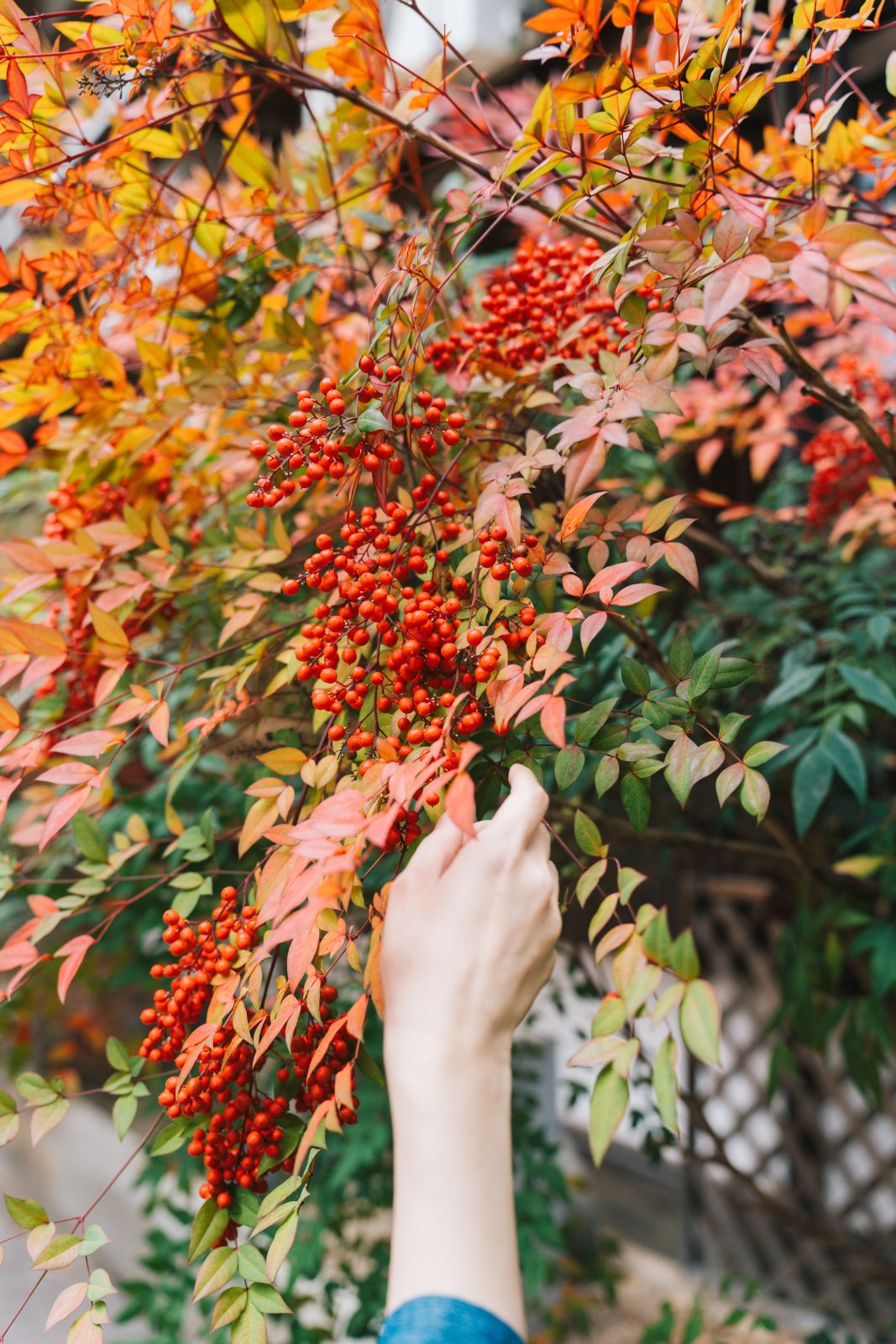 けん研けんけん-湯めぐりけんけん二泊三日-104GB-03-12