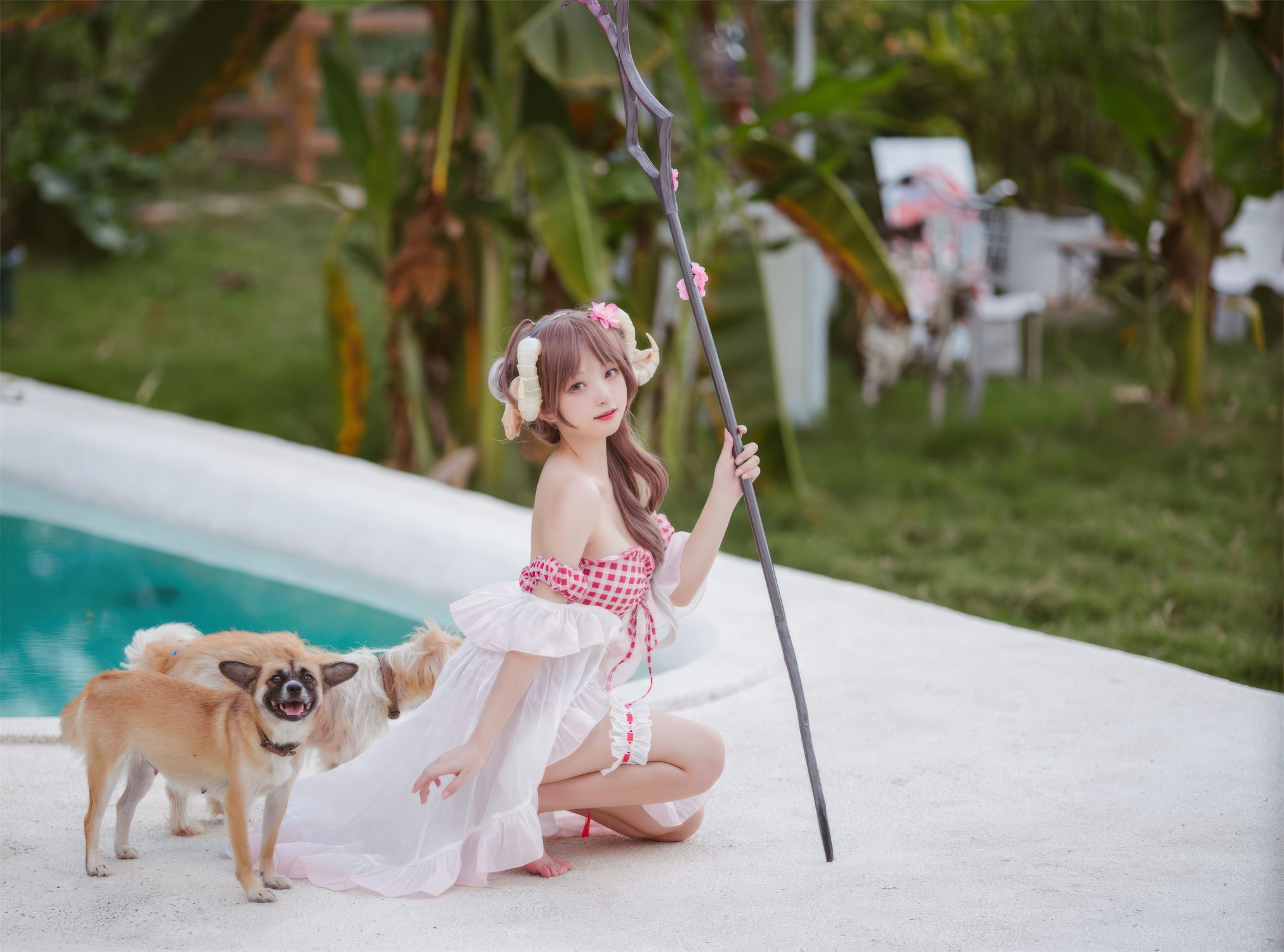 花铃---小羊夏卉-03-31