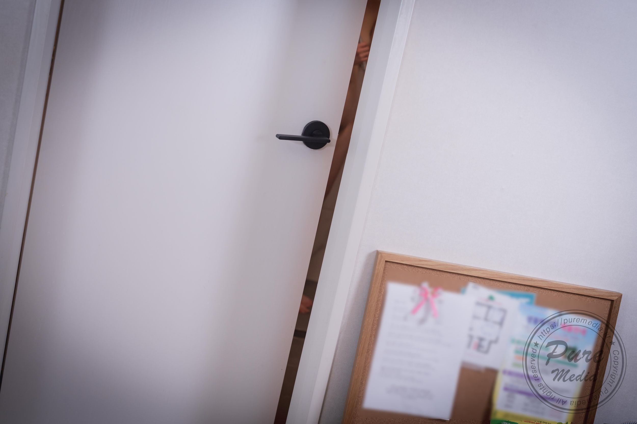 Pure-Media-Vol275-Hina-히나---Raped-My-Rude-Little-Sister-213P-08-20