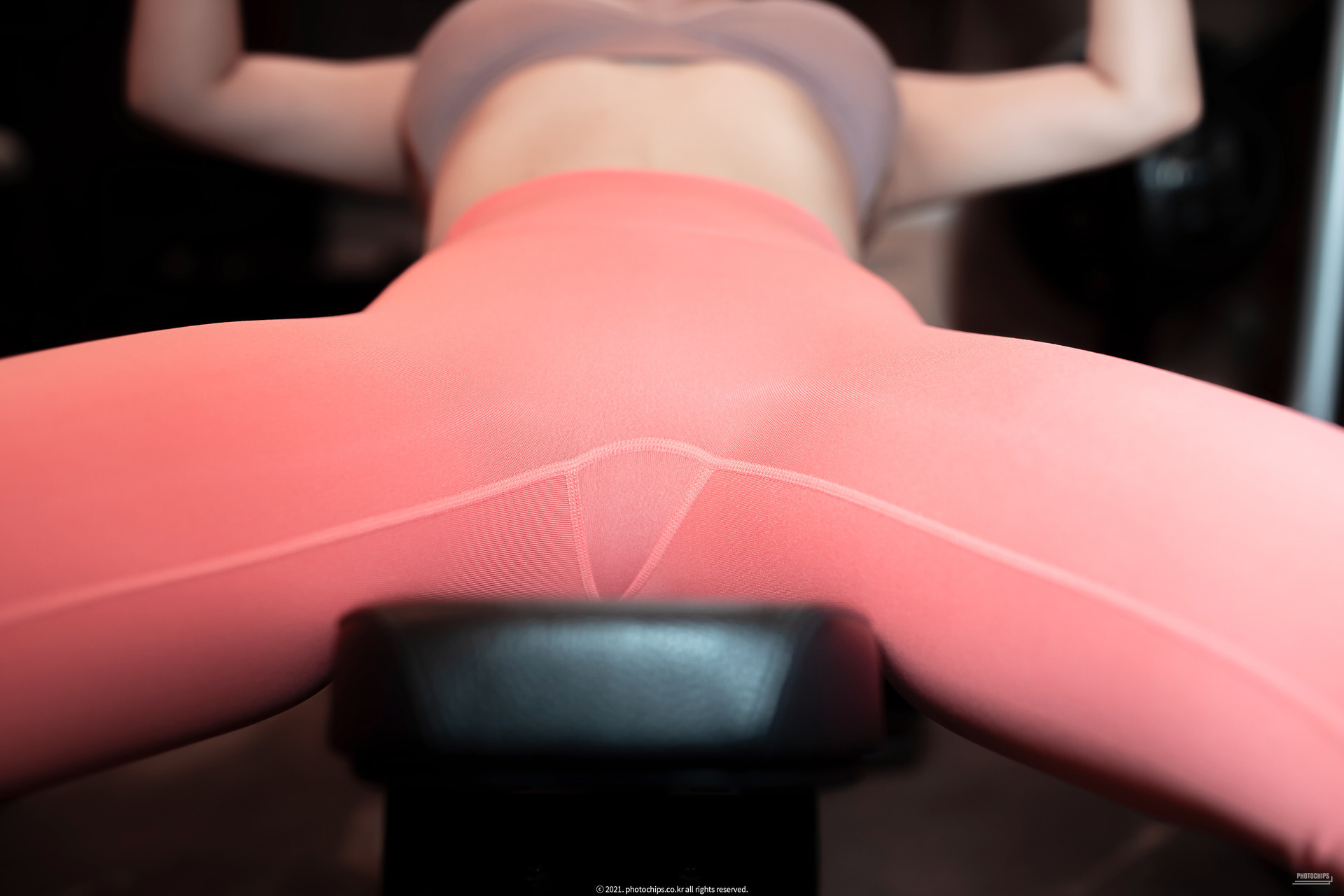 Bokbunjajoo-복분자주-PhotoChips-Vol110-포토칩스는-No21-Set02-02-28