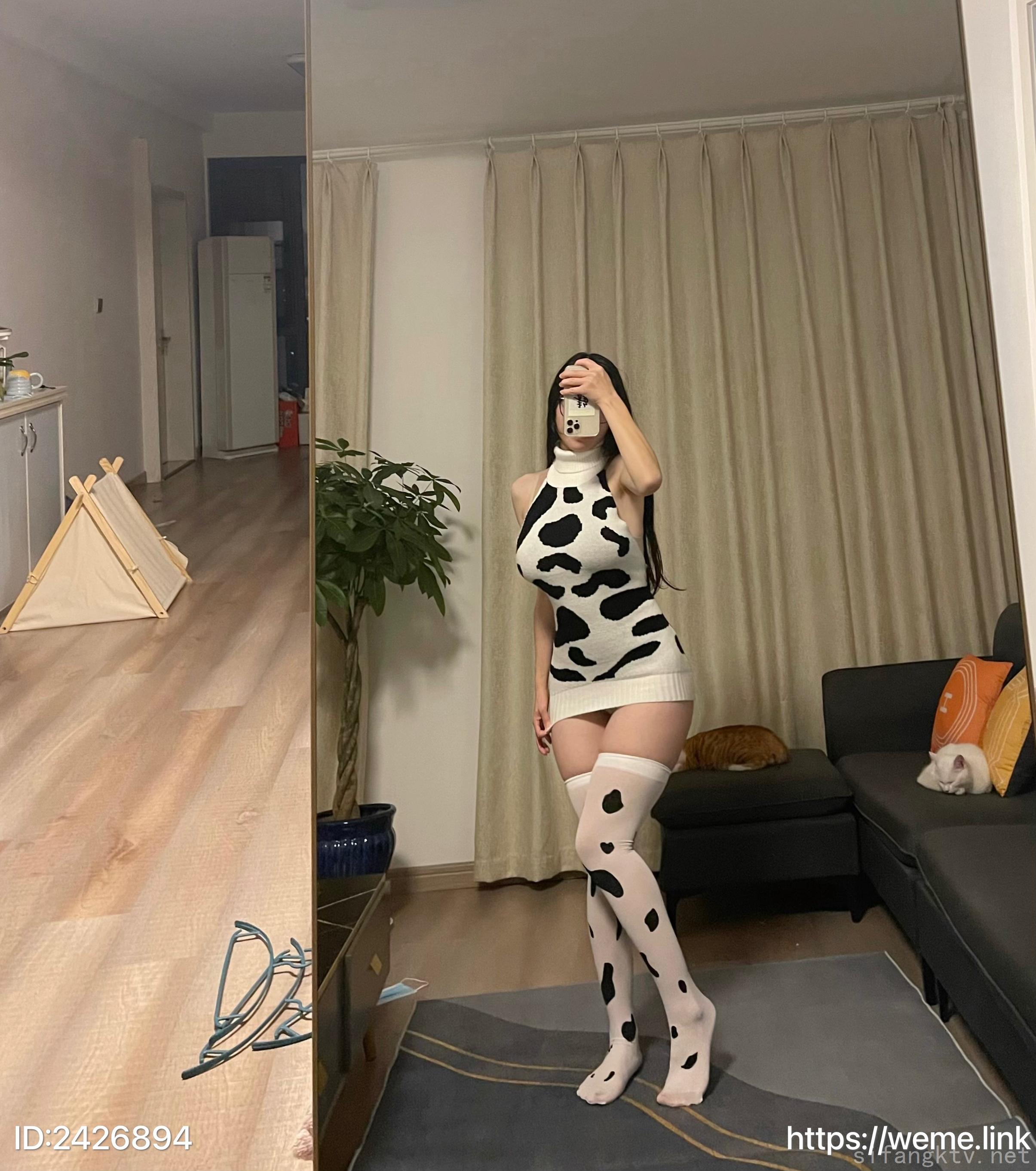 3087-笨蛋初初-08-25