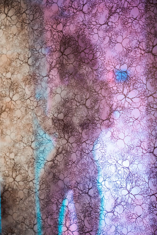 星澜是澜澜叫澜妹呀-浴室胶带2-41P1V-819MB-02-20