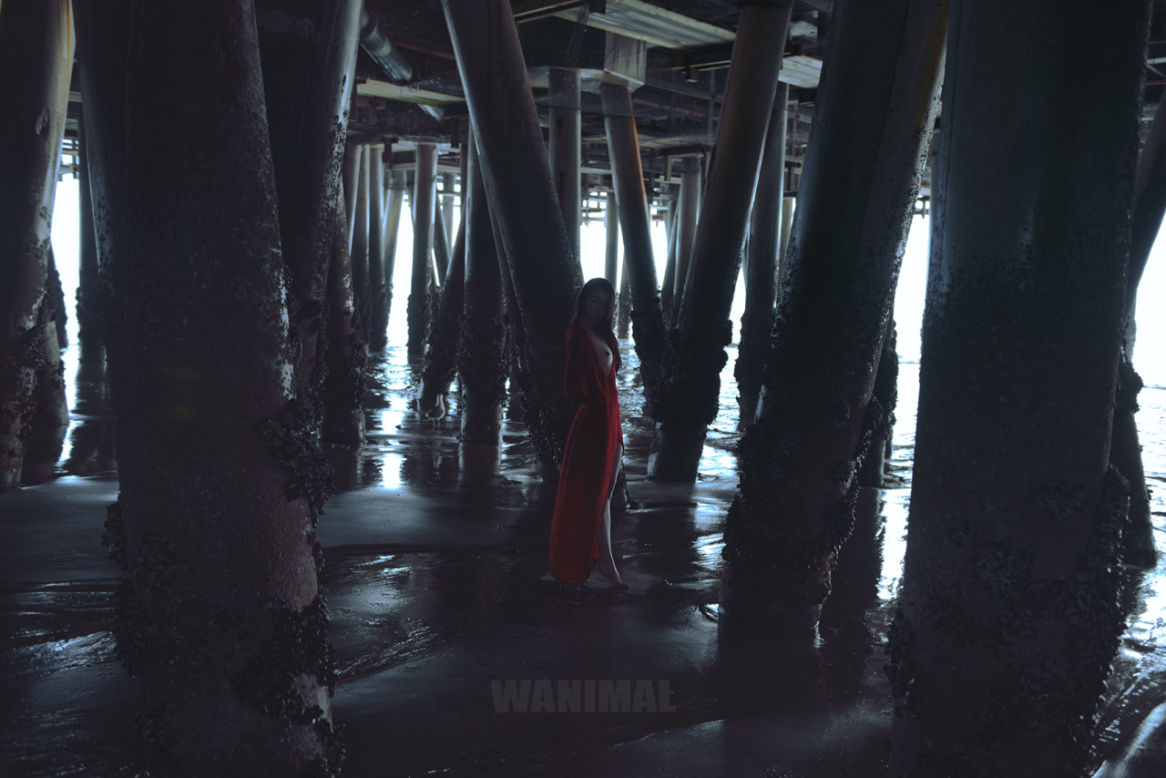 WANIMAL王動系列-Tumblr博客寫真作品-Set27-04-15