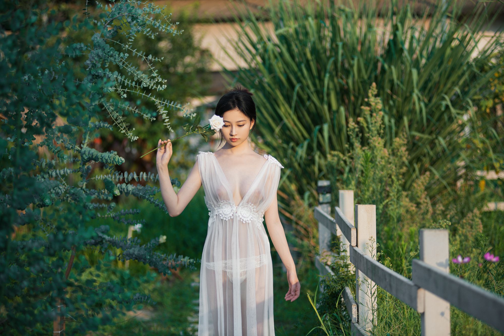 年年---神明之女40P-2323M-01-25