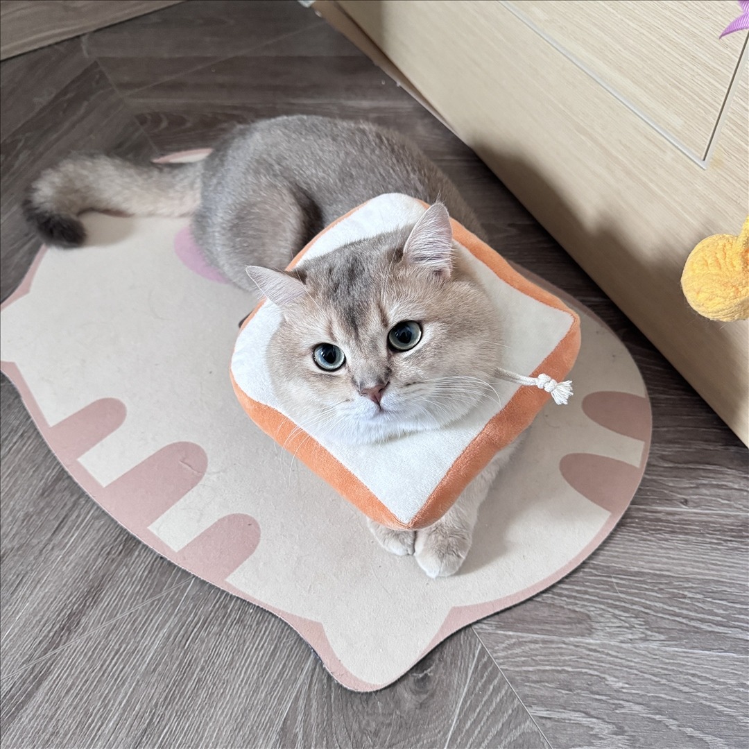 眼酱大魔王w---24年07月Fantia会员订阅-41P4V-9111-MB-20240901ad-09-03