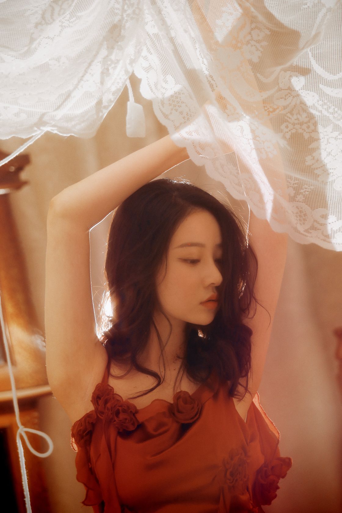 年年---落日蔷薇30P-4124M-01-24