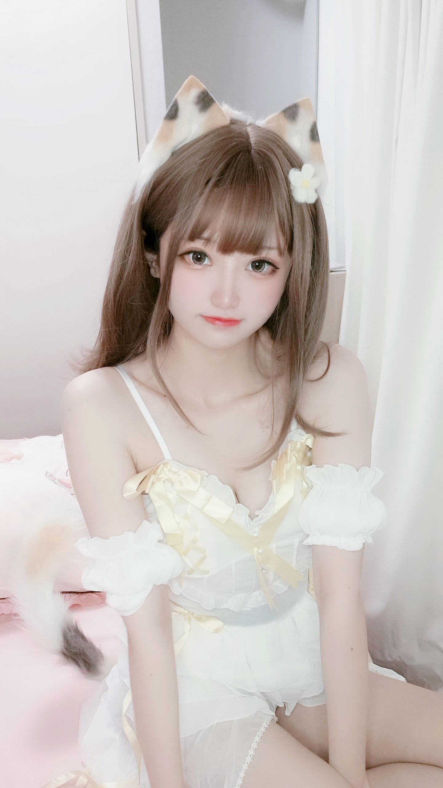 042-千阳快起床---三花猫-12P-1217-MB-08-27