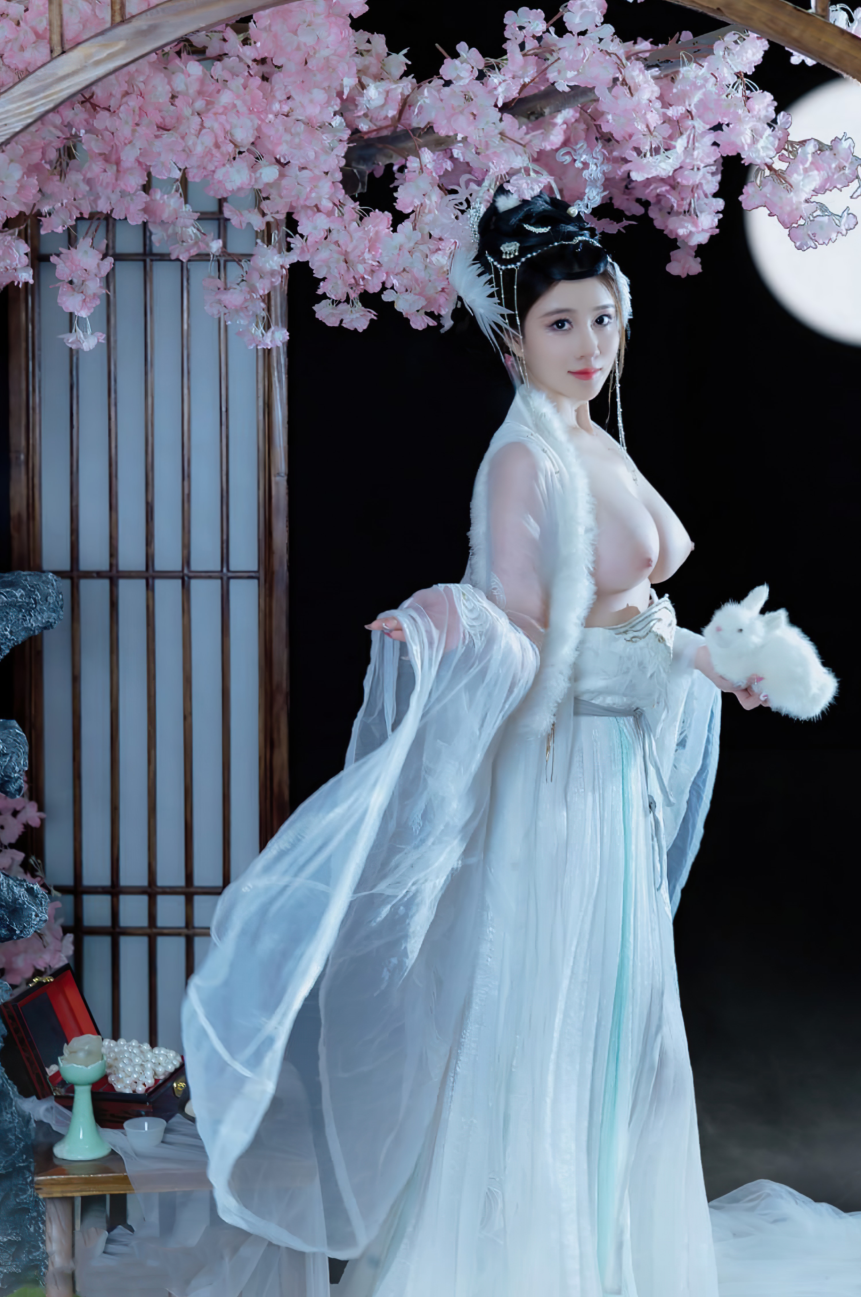年年-嫦娥仙子-49P-808MB-11-20