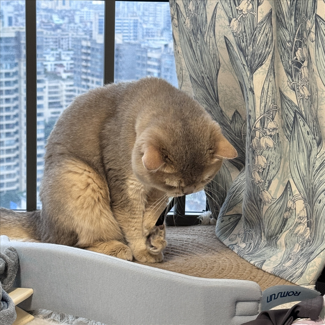 眼酱大魔王w---24年06月Fantia会员订阅-38P6V-8133-MB-20240904k-09-06