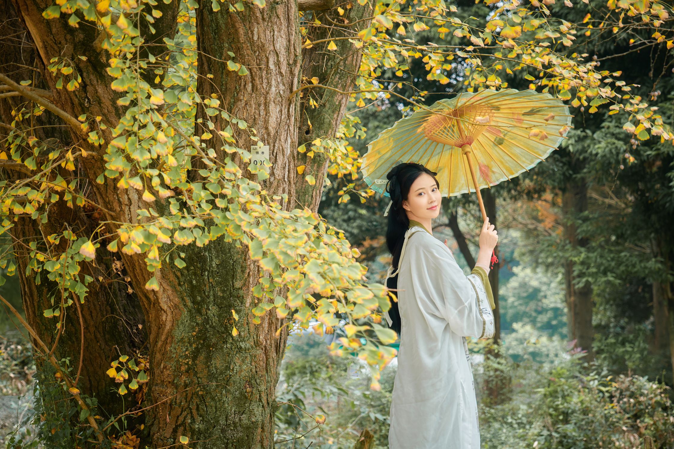 年年---秋兮46P-01-26