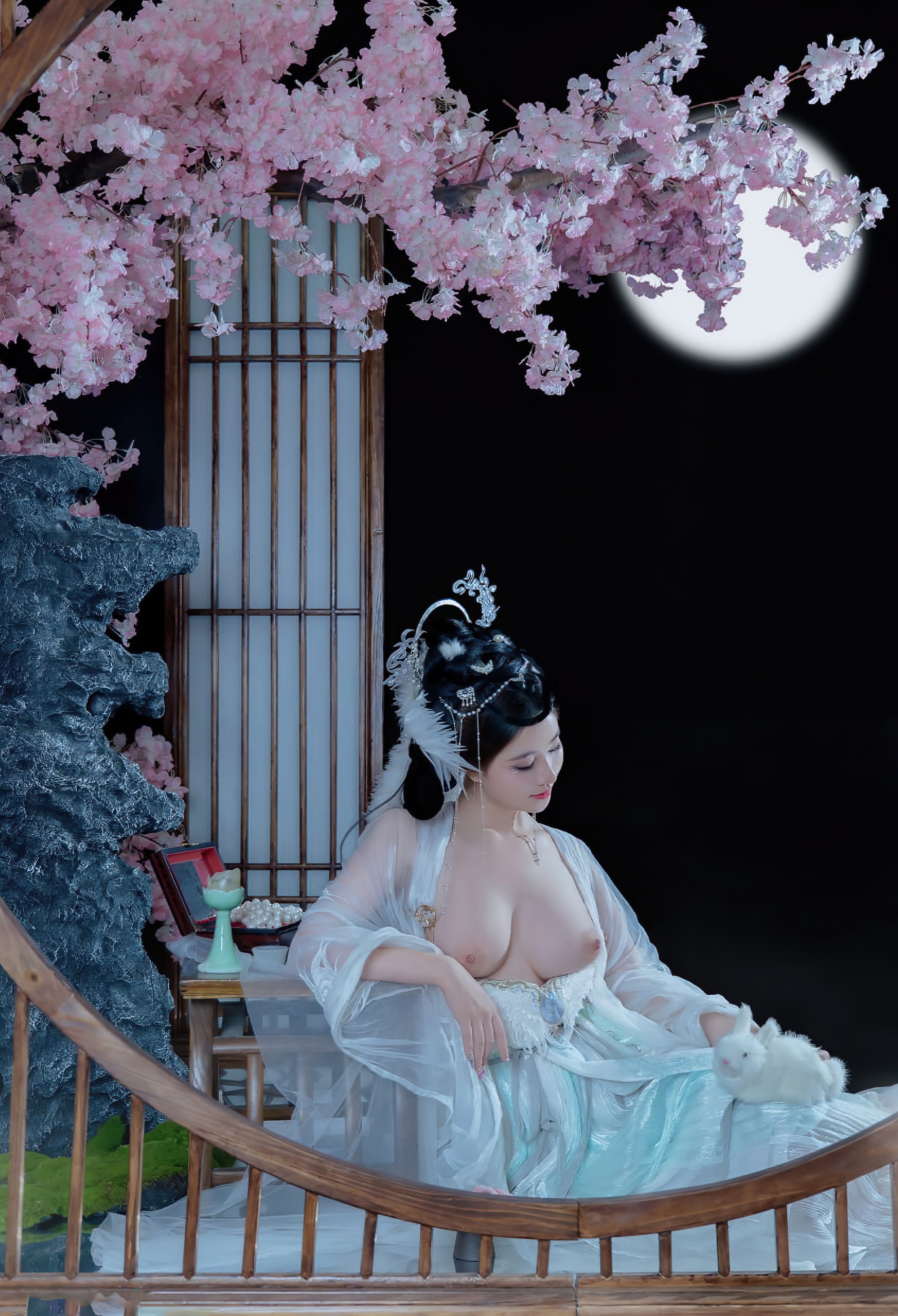 年年-嫦娥仙子-49P-808MB-11-20