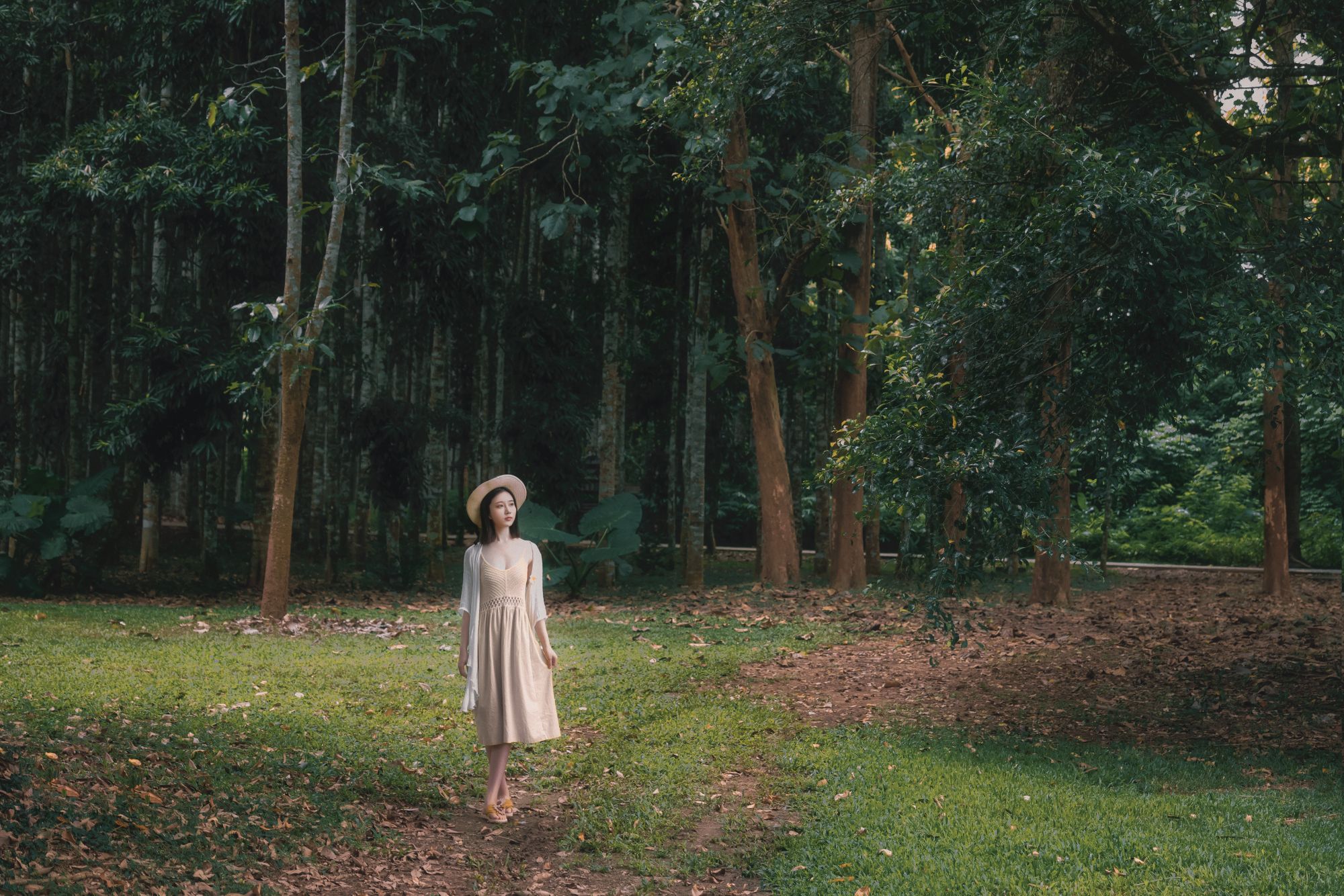 年年---白露43P-253M-01-23