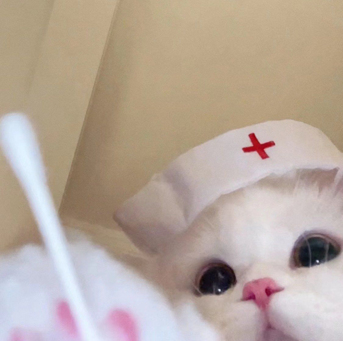 呆呆酱-合集-12-31