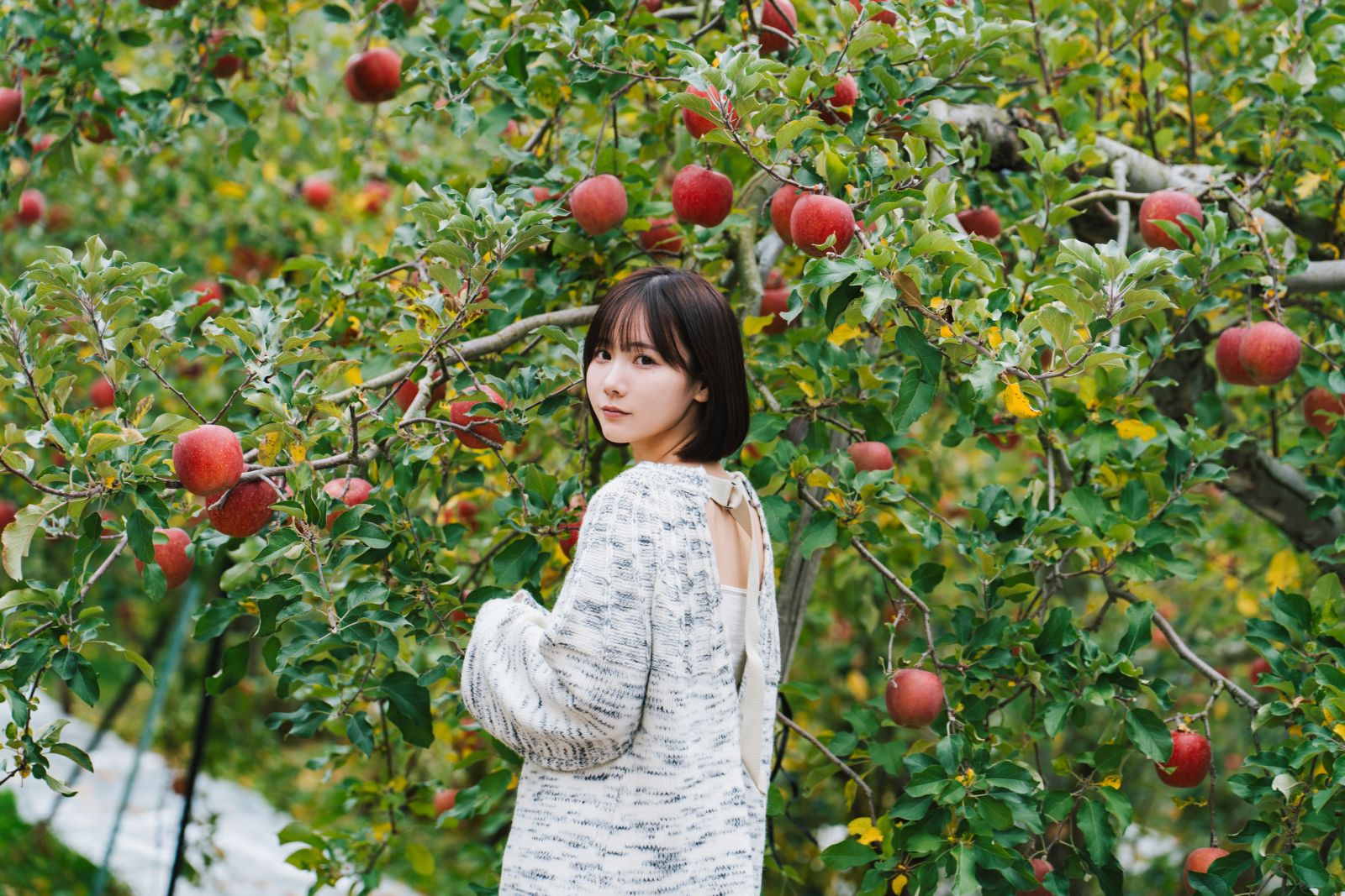 けん研けんけん-湯めぐりけんけん二泊三日-104GB-03-12