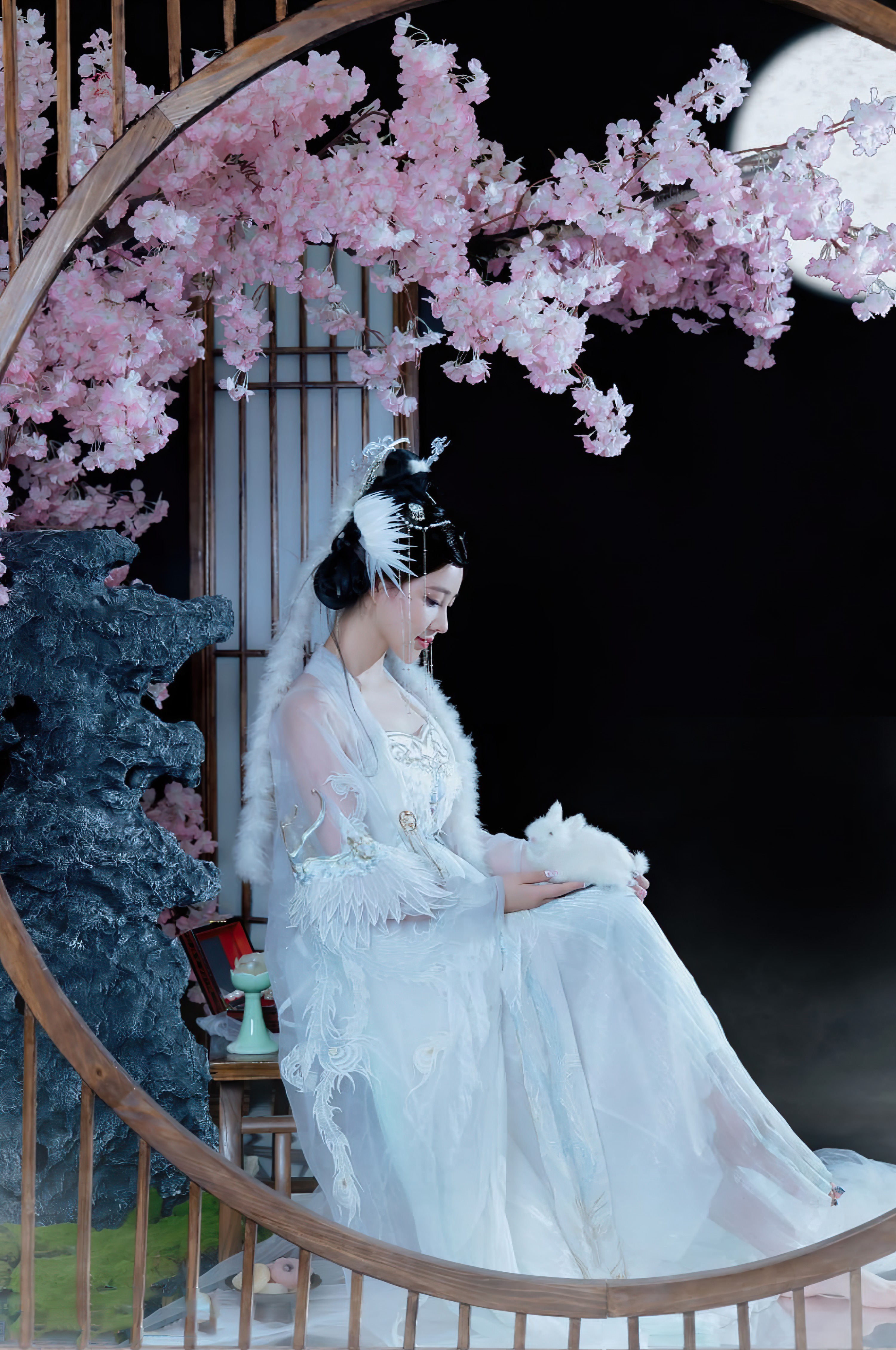年年-嫦娥仙子-49P-808MB-11-20