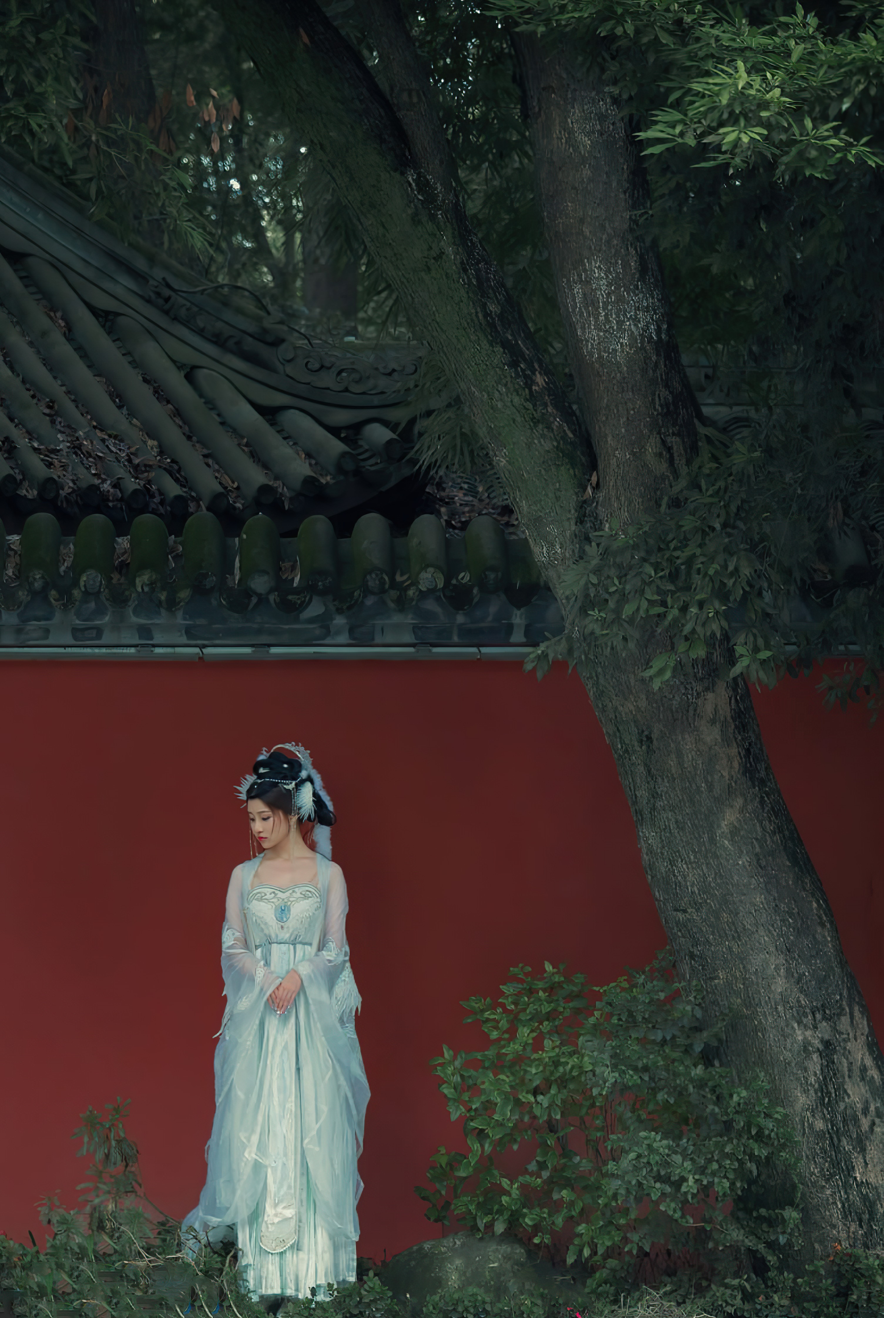 年年-嫦娥仙子-49P-808MB-11-20