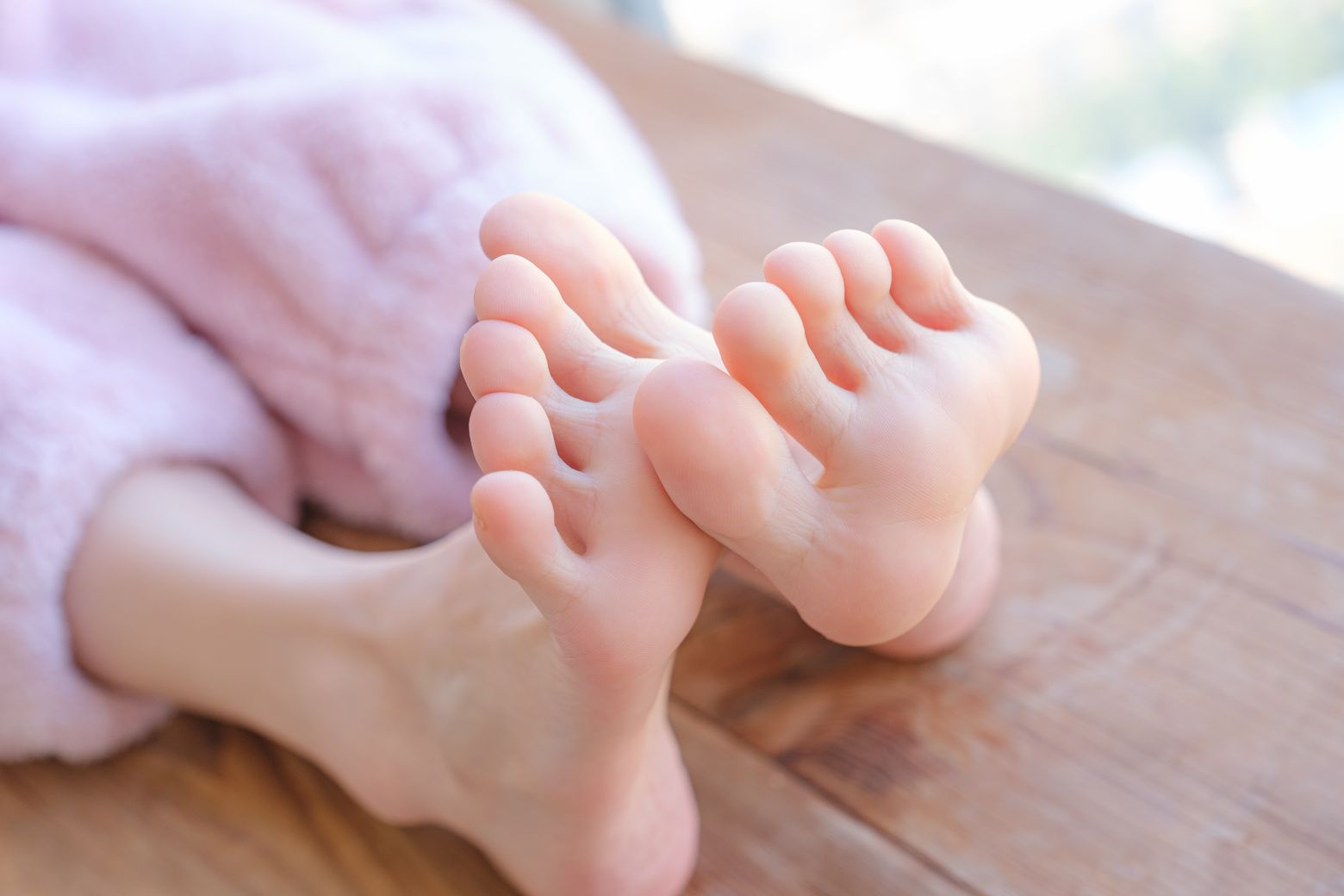 森萝财团-内部-雏菊-08-123P1V-04-23