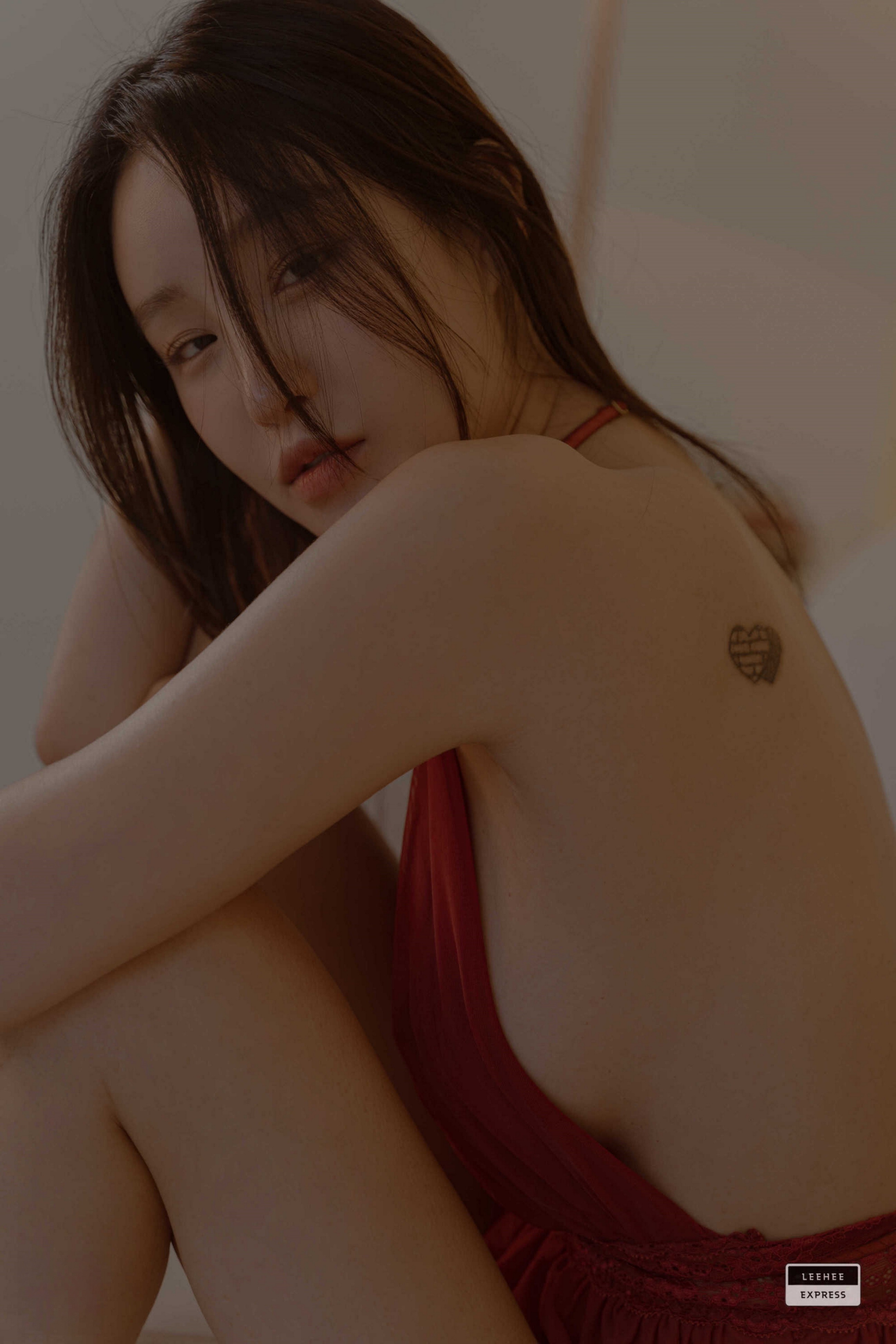 LEEHEE-EXPRESS-LEHC-226A---Lee-Snow-46P-08-14