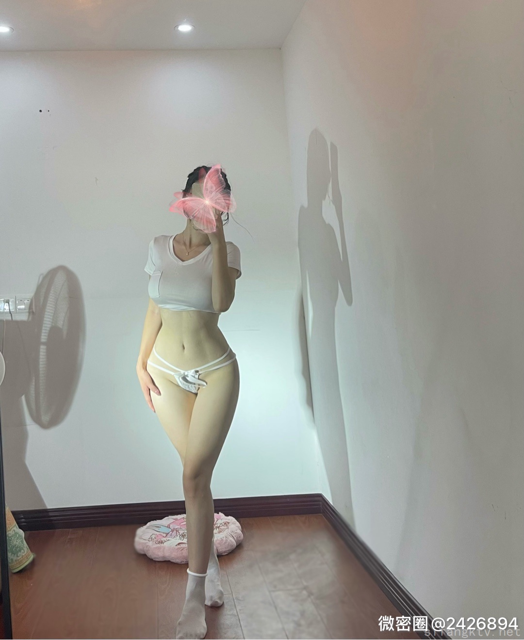 3087-笨蛋初初-08-25