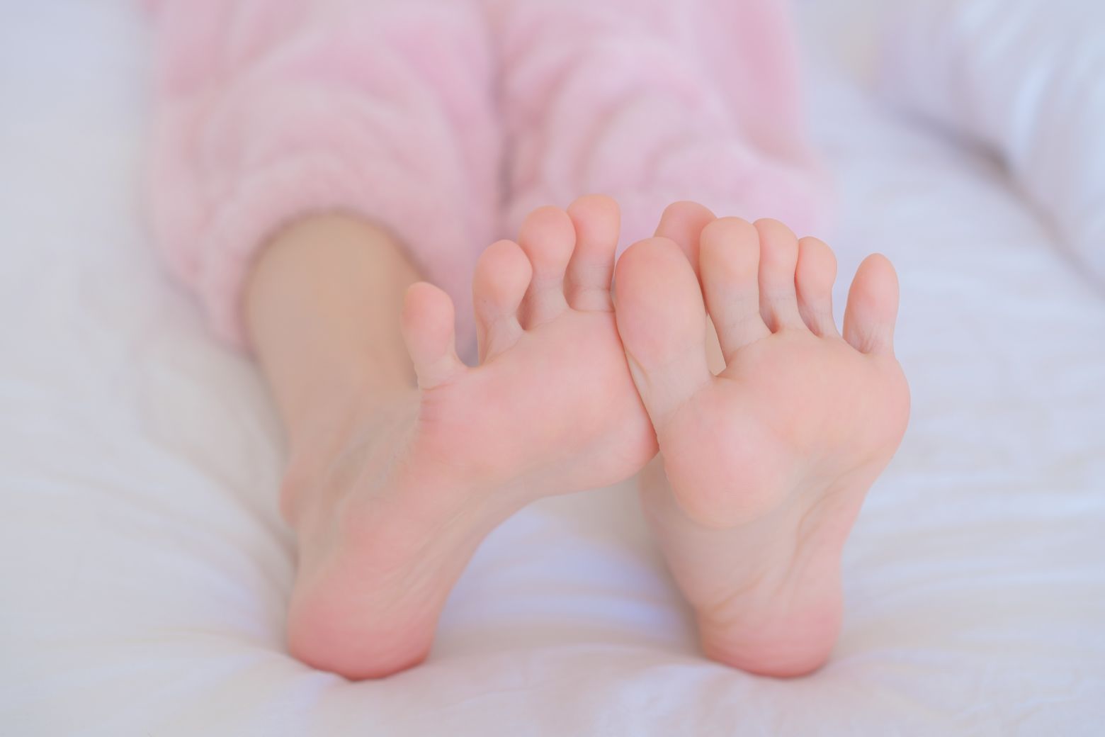 森萝财团-内部-雏菊-08-123P1V-04-23