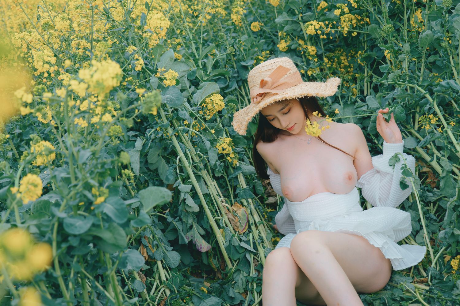 年年---花野-53P-147MB-08-29