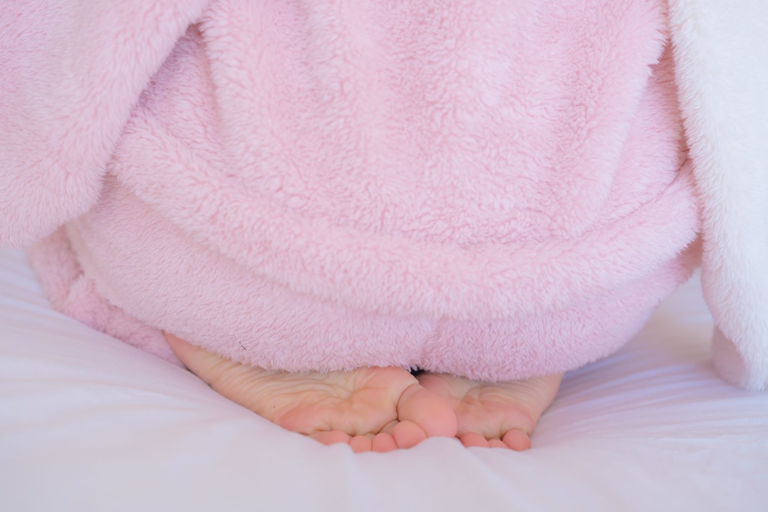 森萝财团-内部-雏菊-08-123P1V-04-23