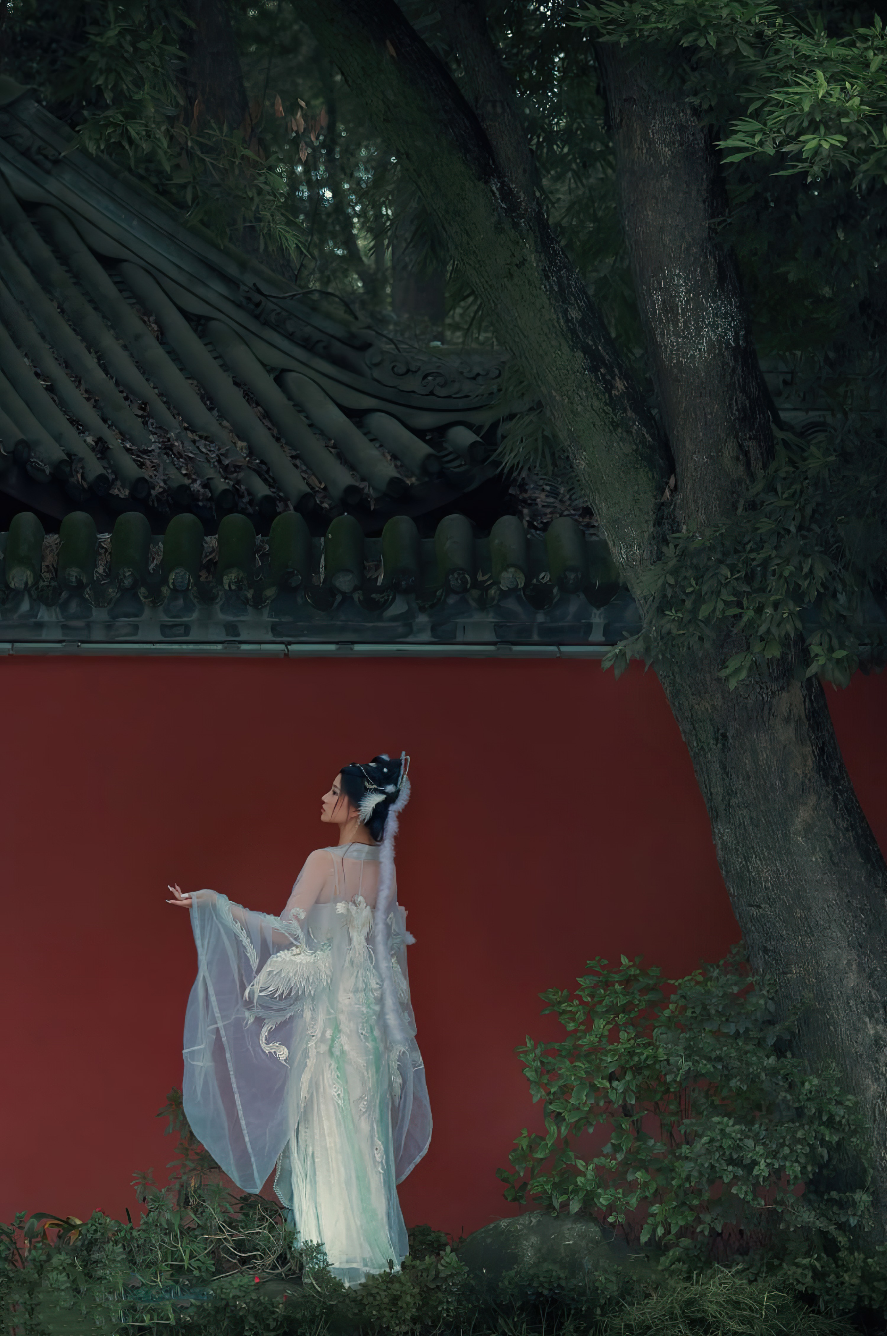 年年-嫦娥仙子-49P-808MB-11-20