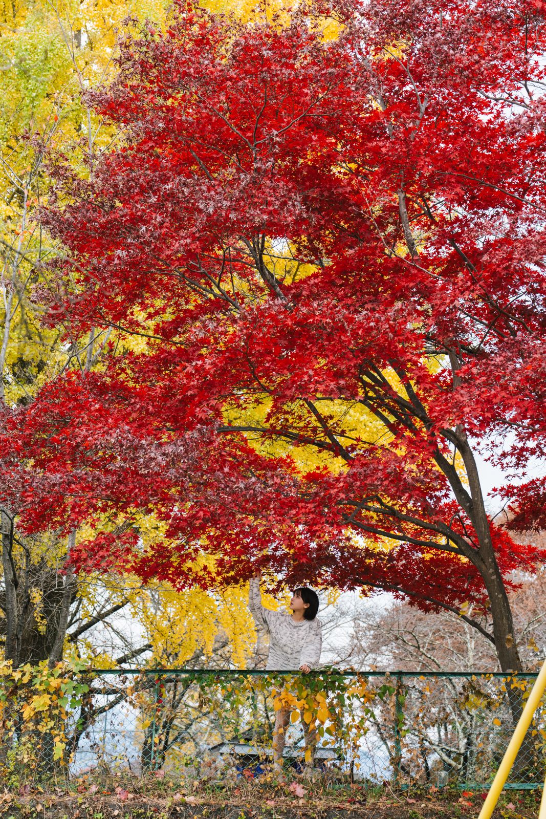 けん研けんけん-湯めぐりけんけん二泊三日-104GB-03-12